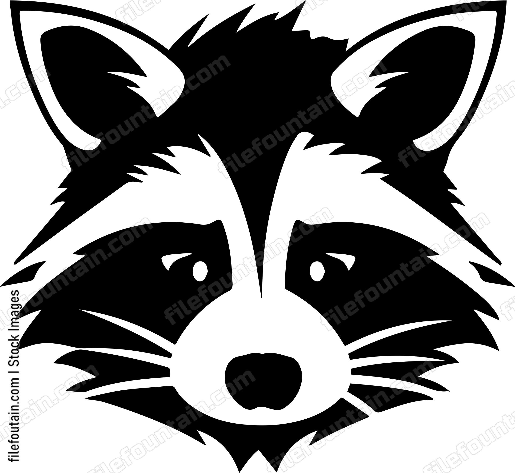 Raccoon