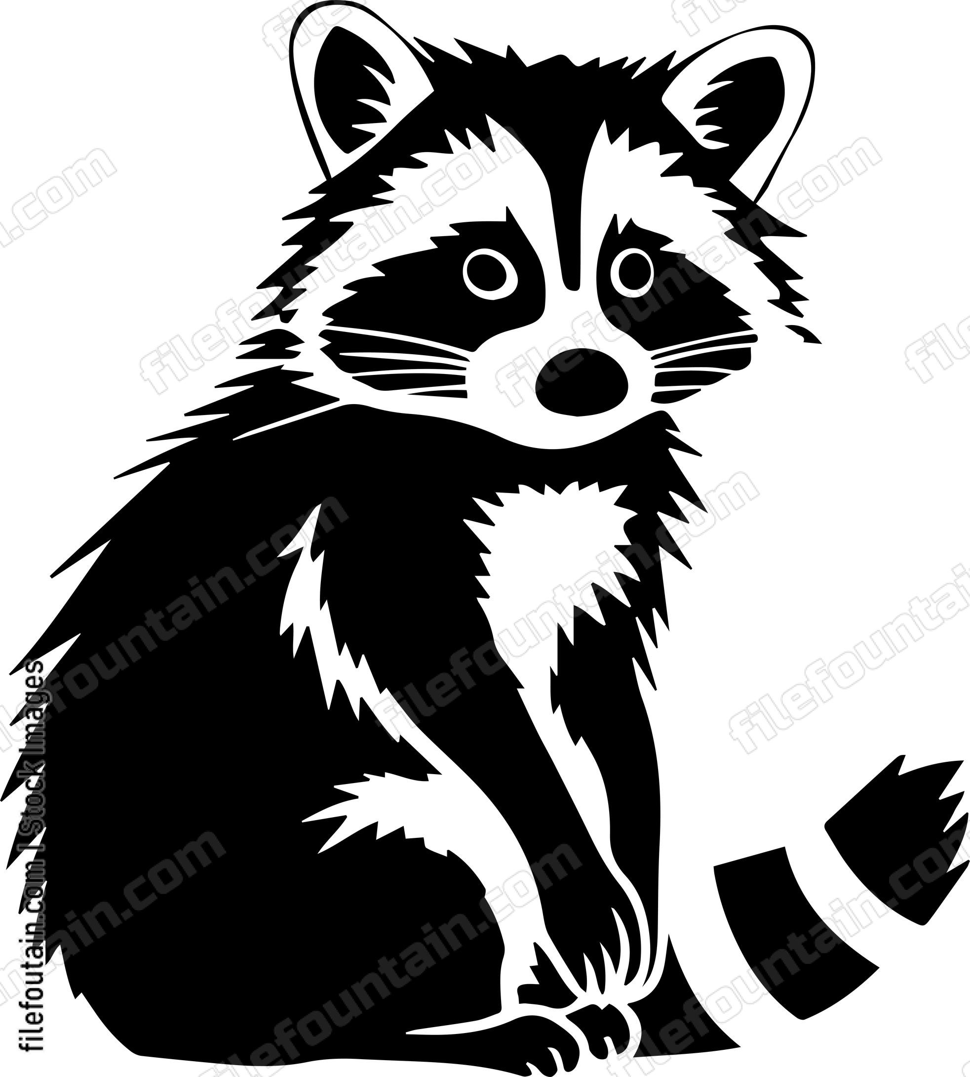 Raccoon