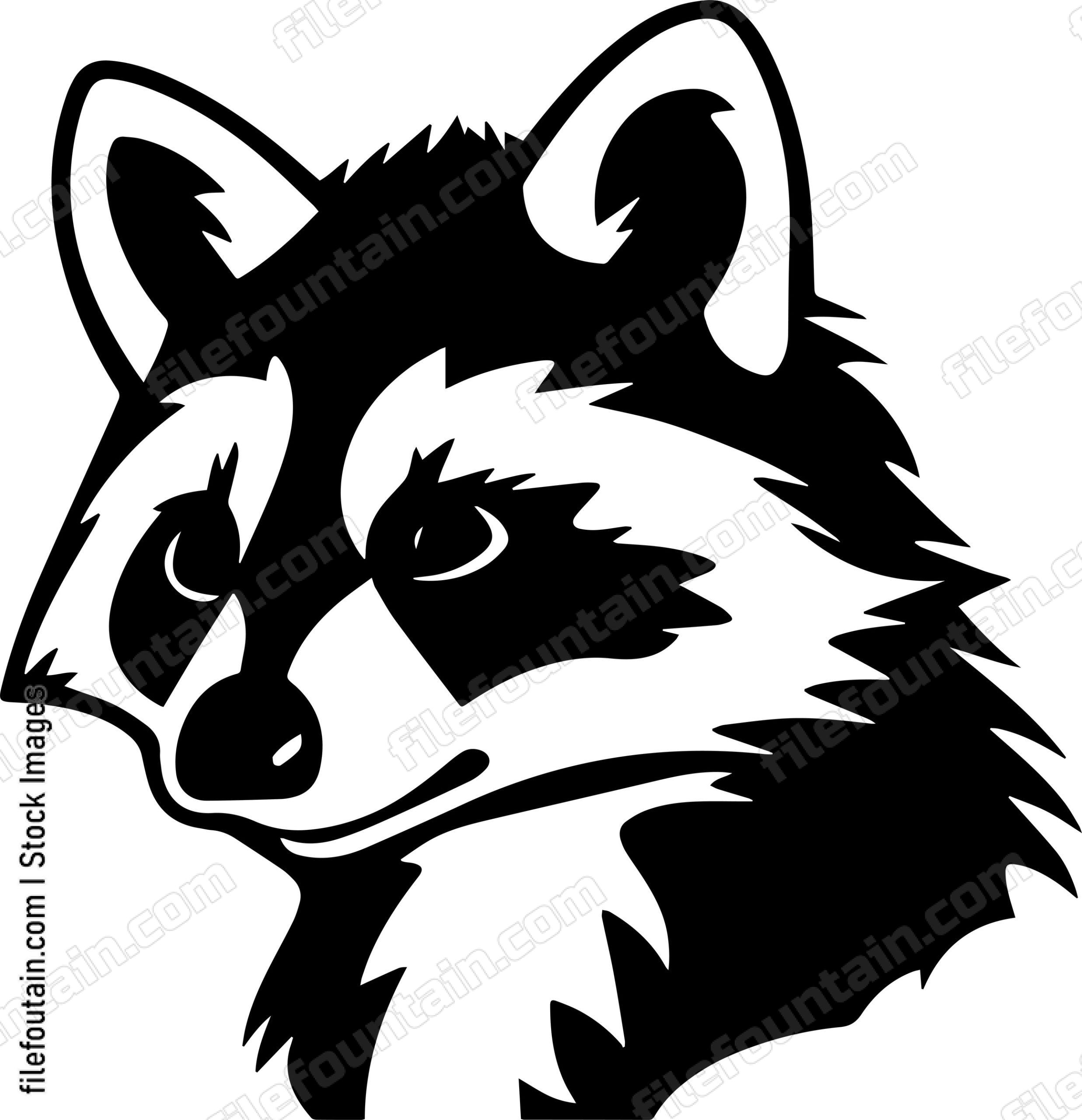 Raccoon