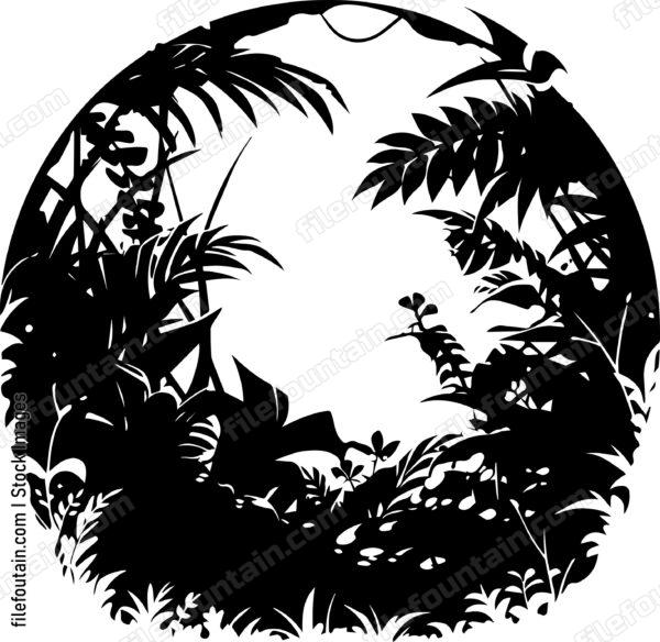 Rainforest