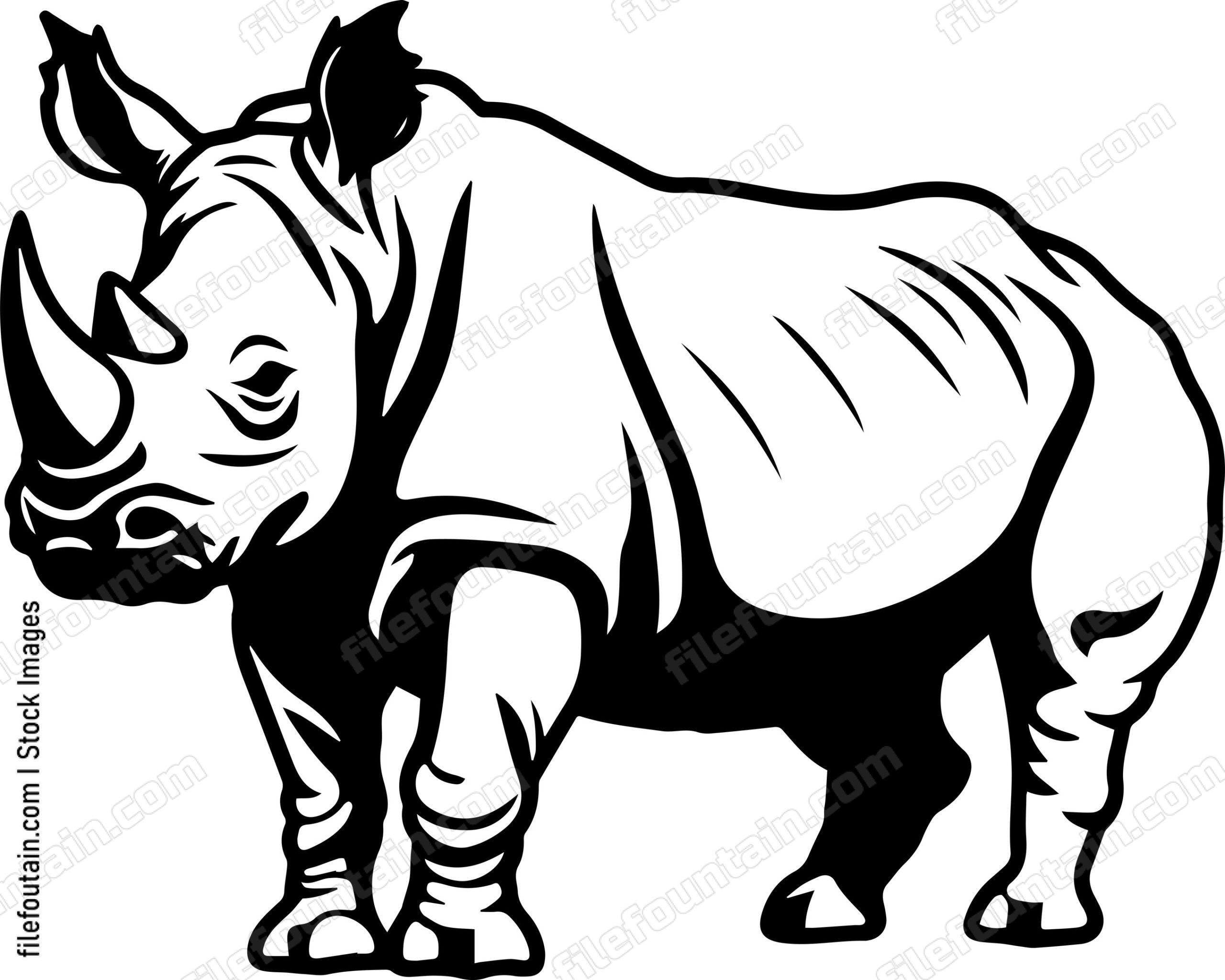 Rhinoceros