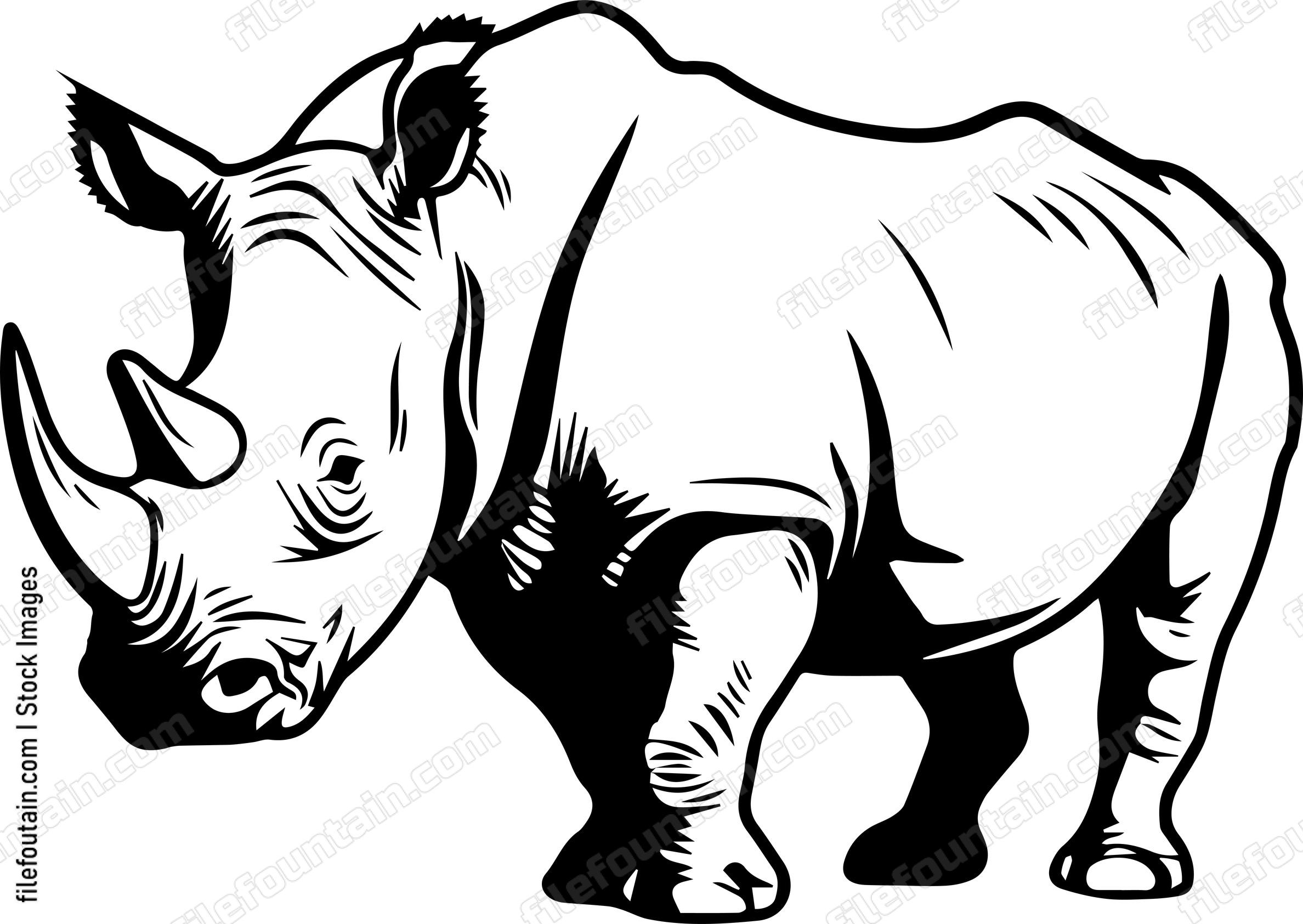 Rhinoceros