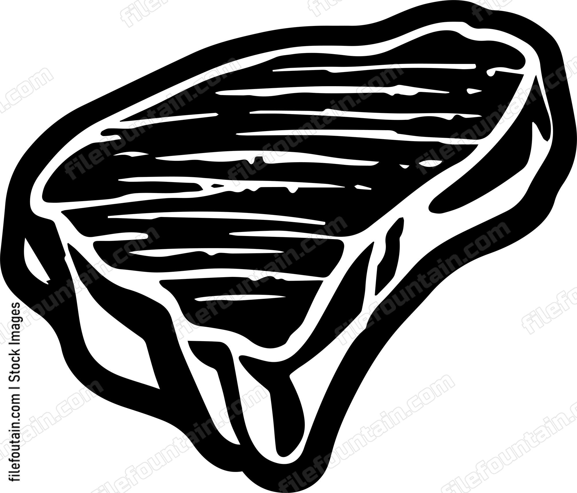 Ribeye Steak