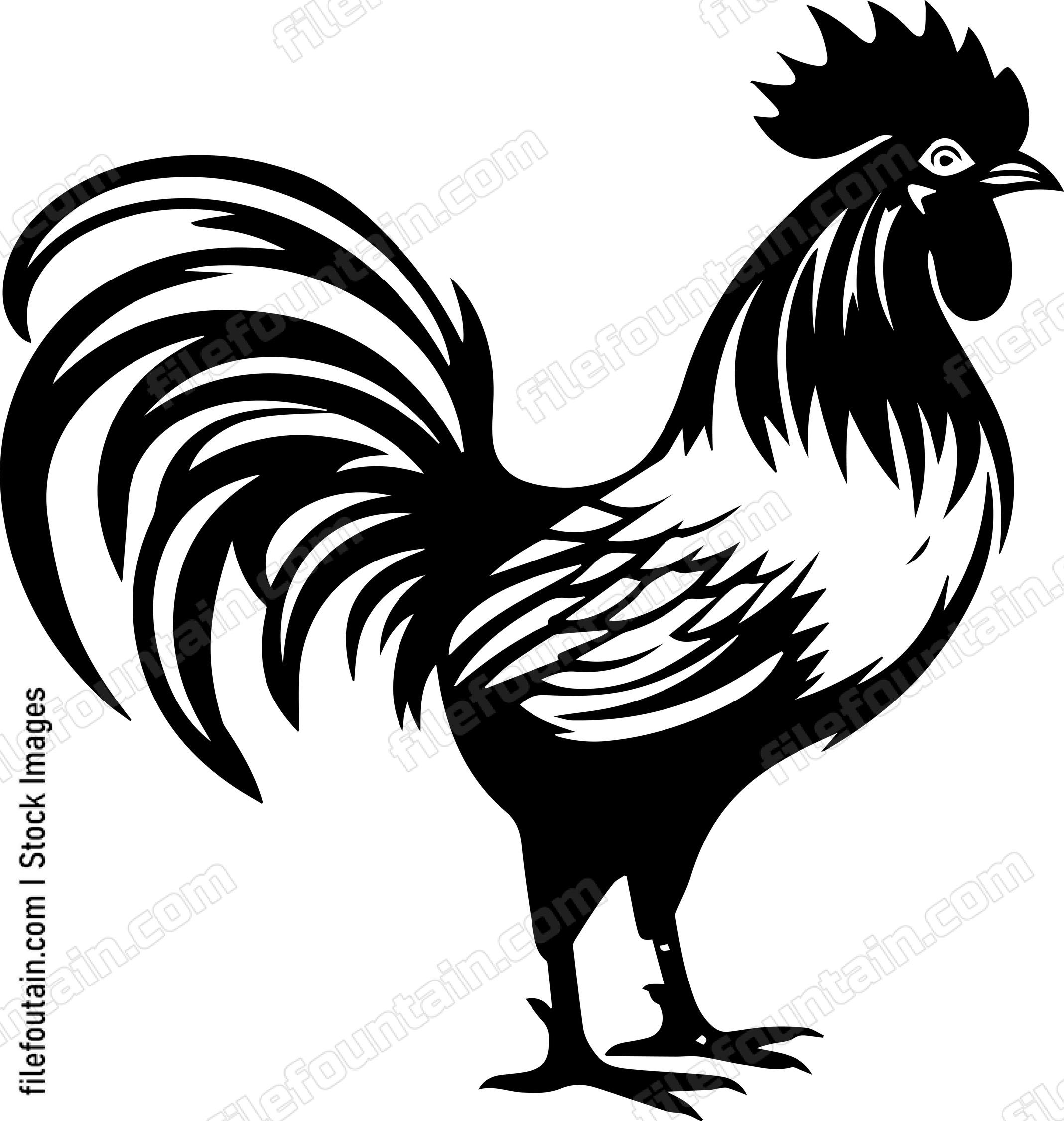 Rooster
