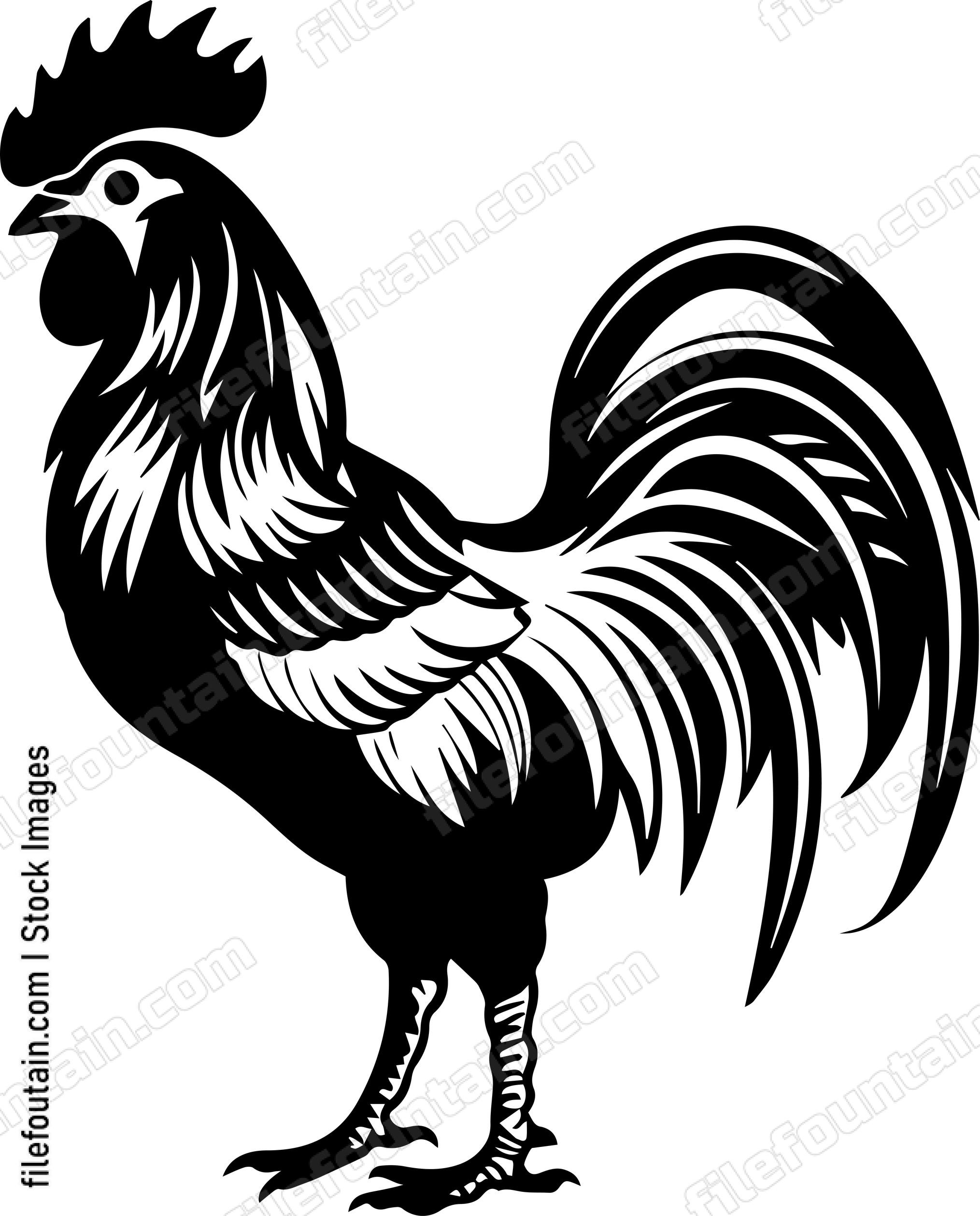 Rooster