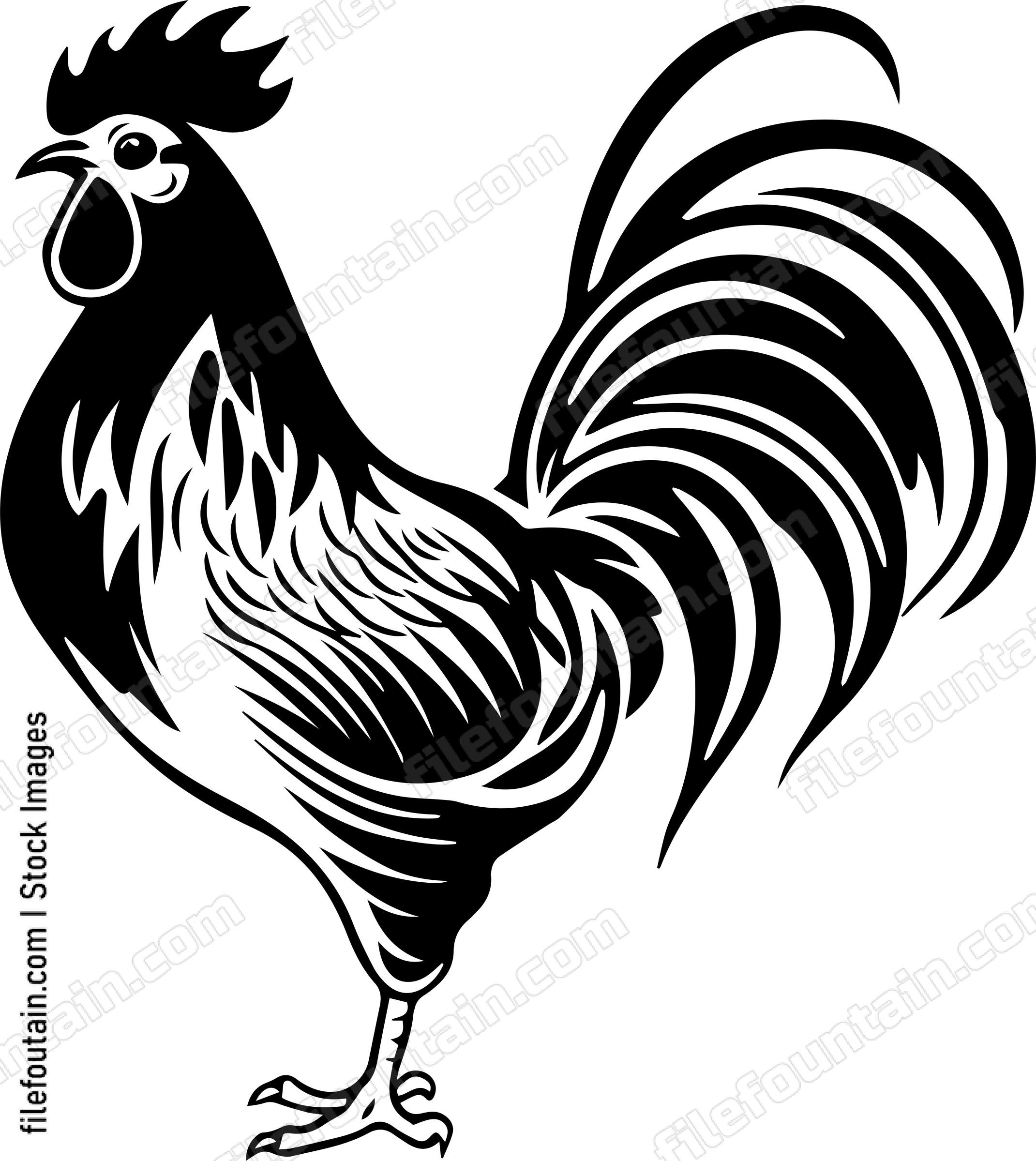 Rooster