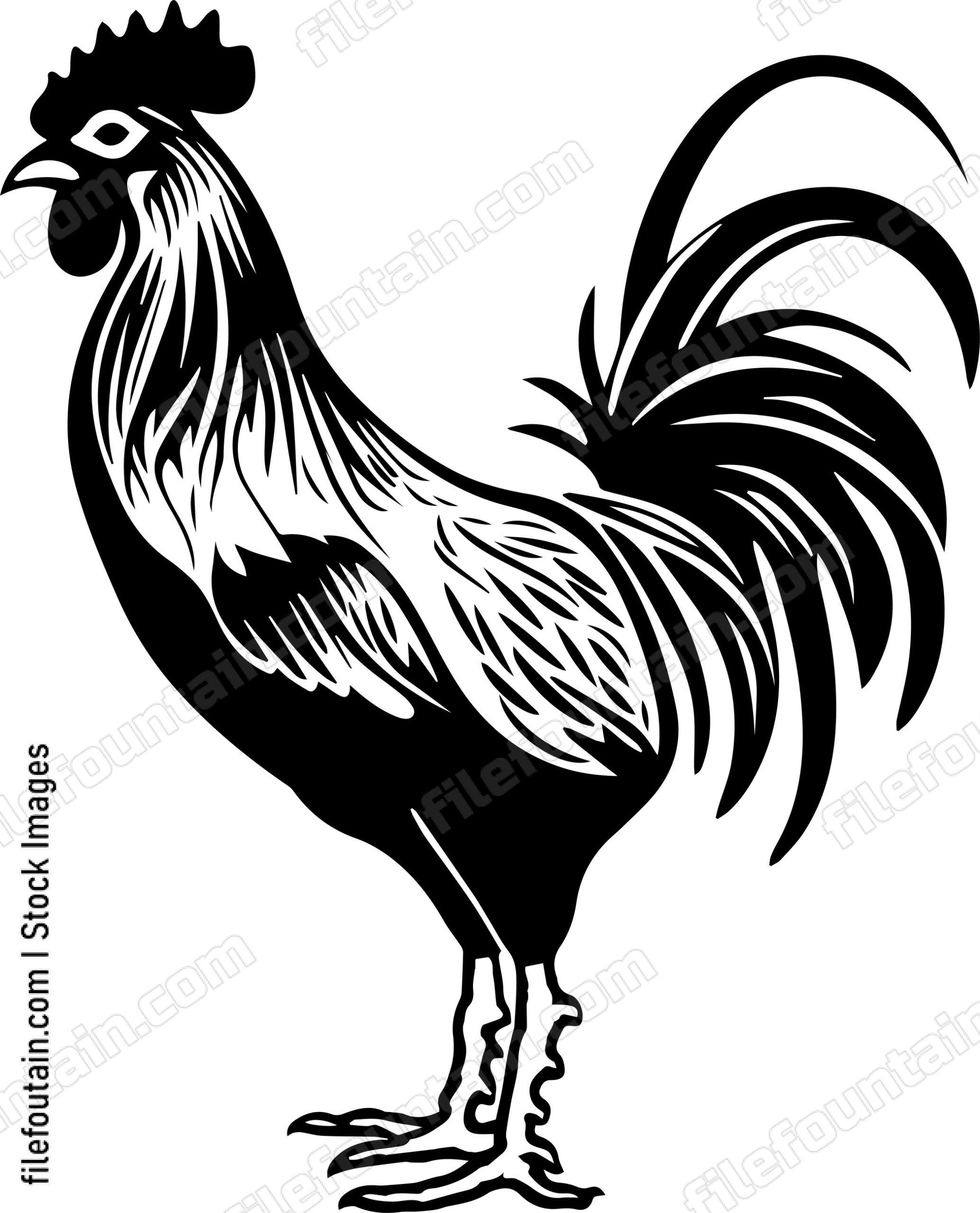 Rooster