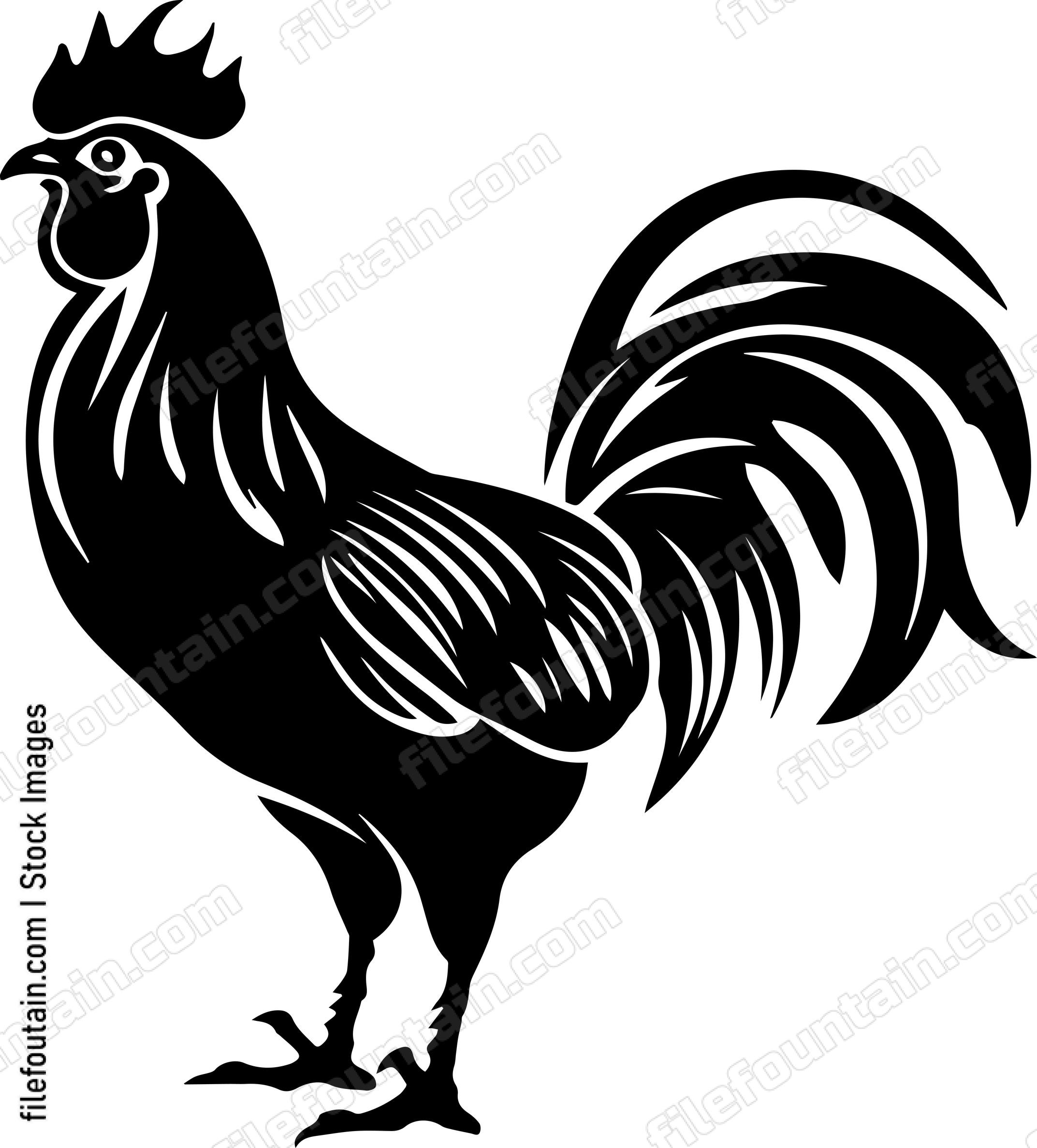 Rooster