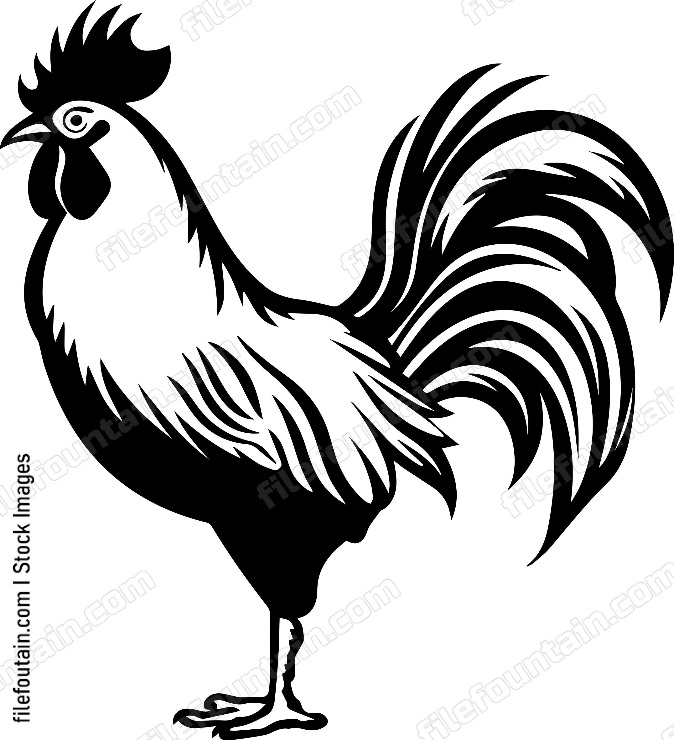 Rooster