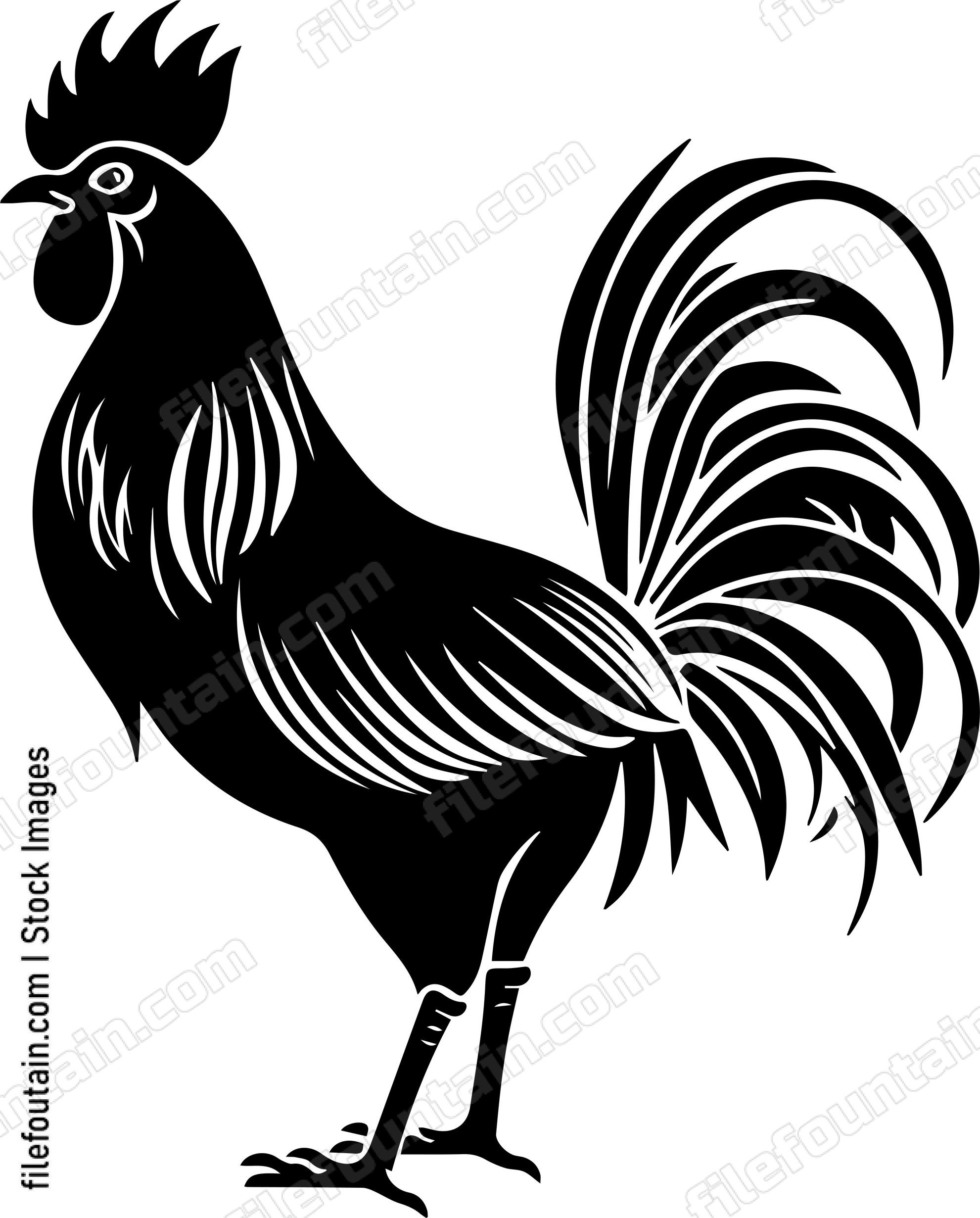 Rooster