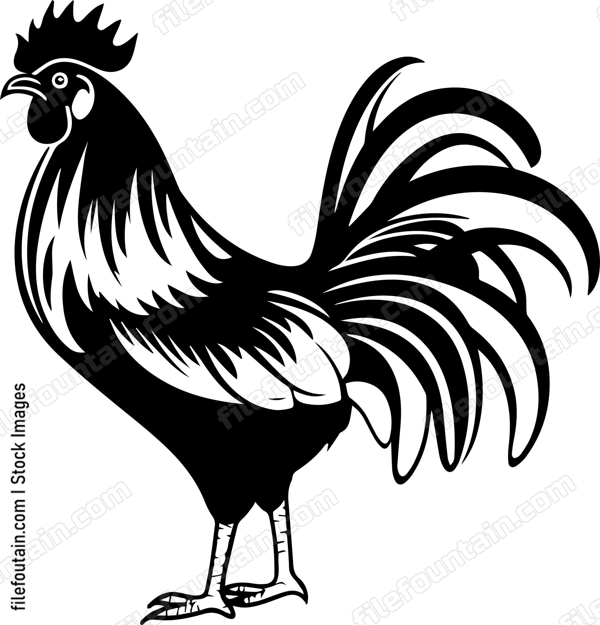 Rooster