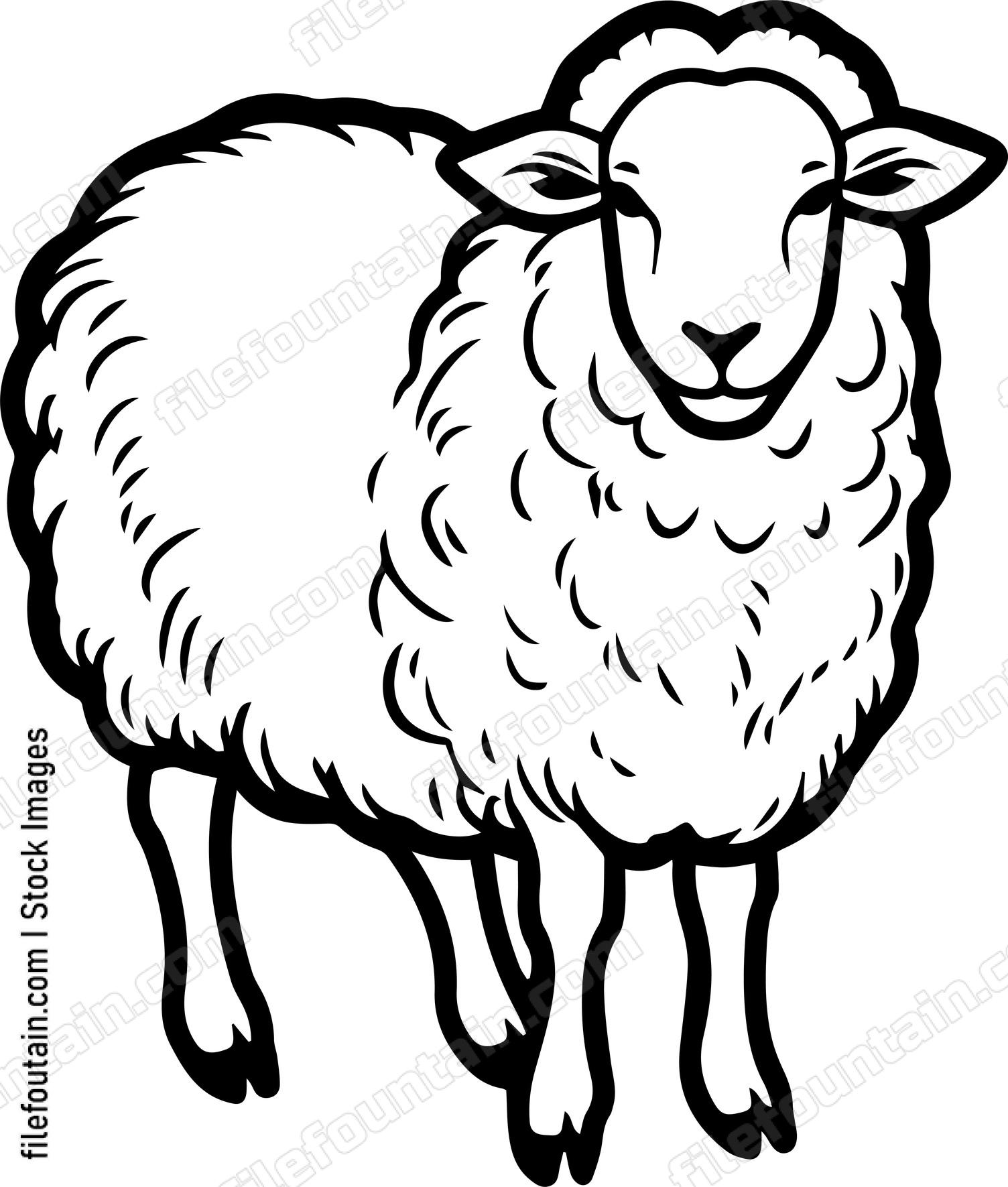 Sheep