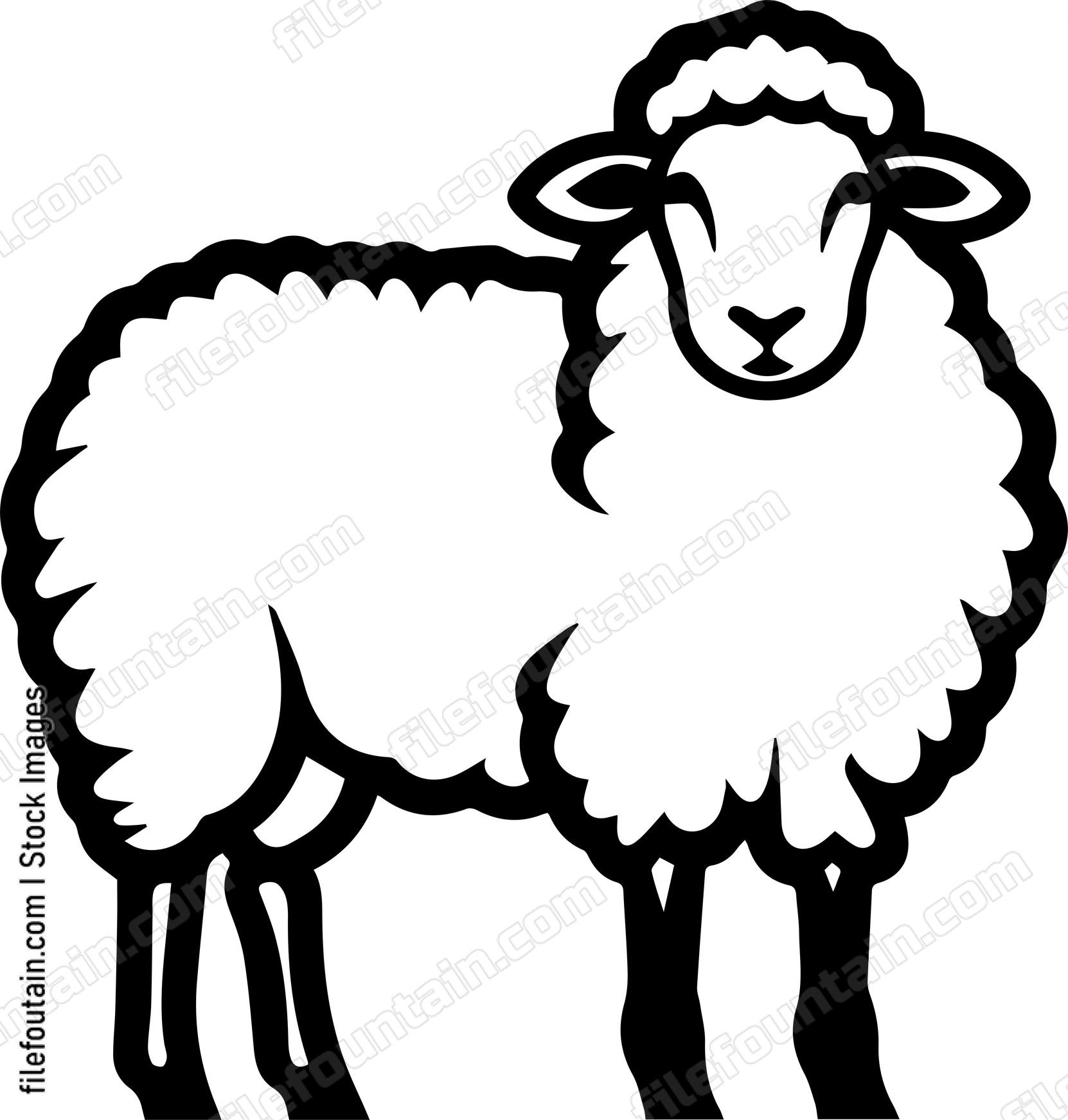 Sheep
