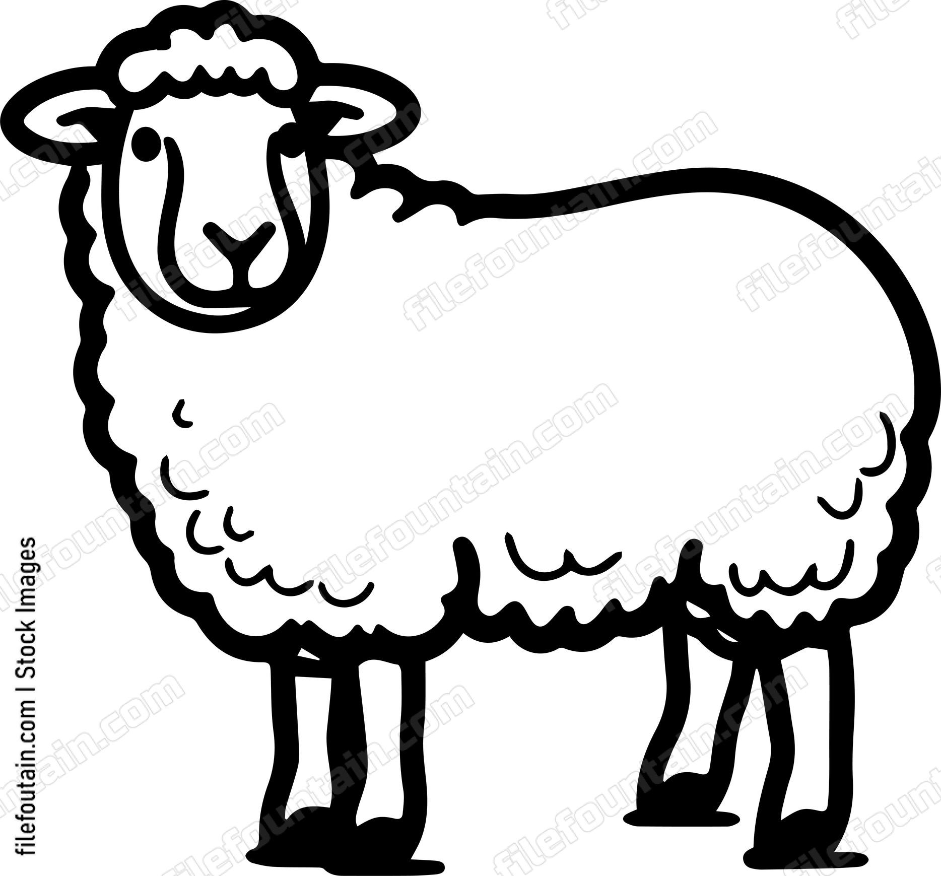 Sheep