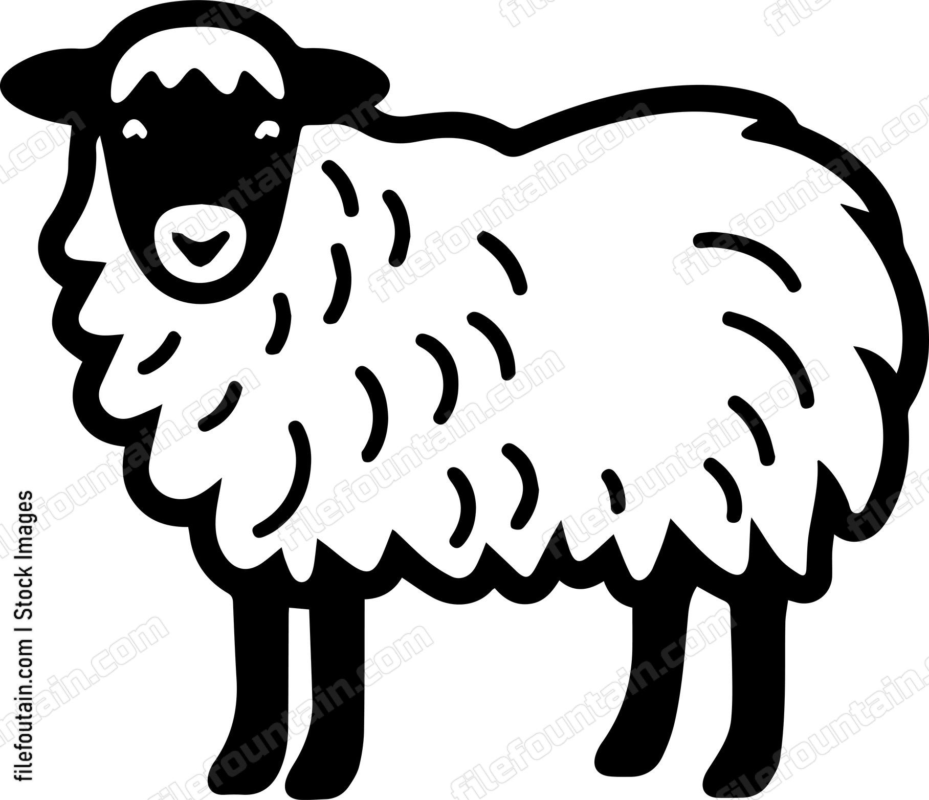 Sheep