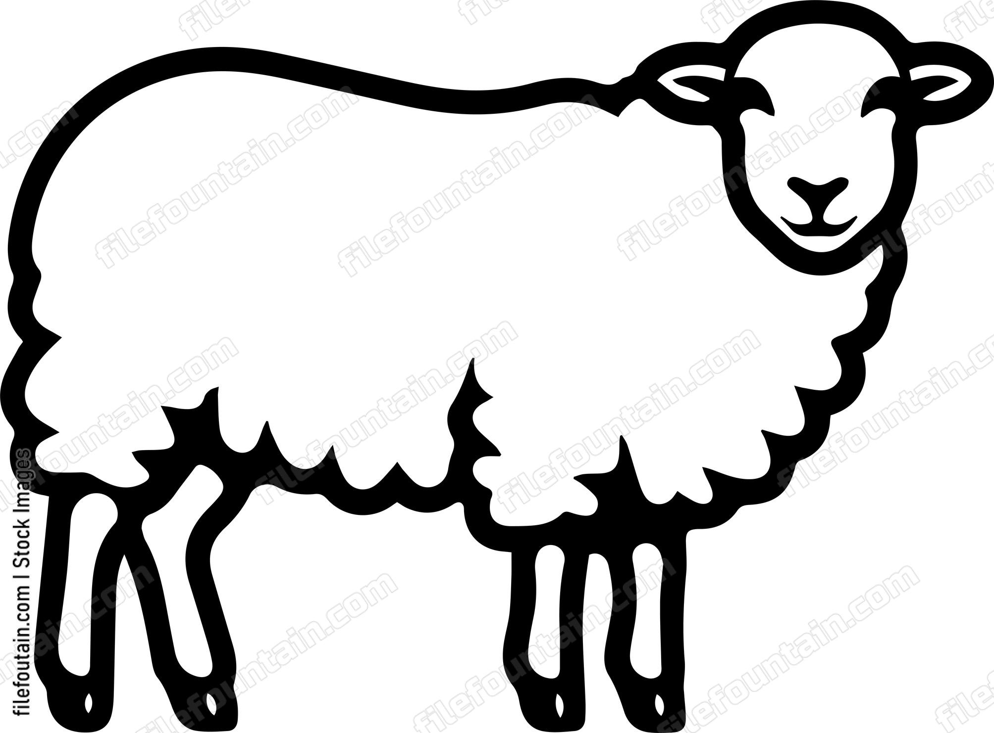 Sheep