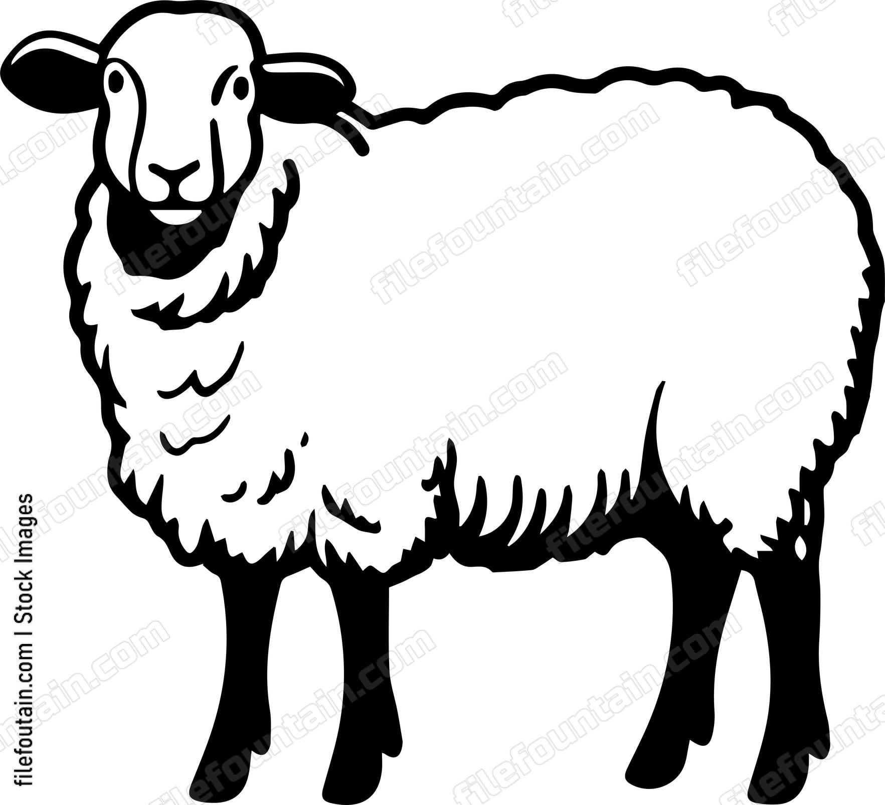 Sheep