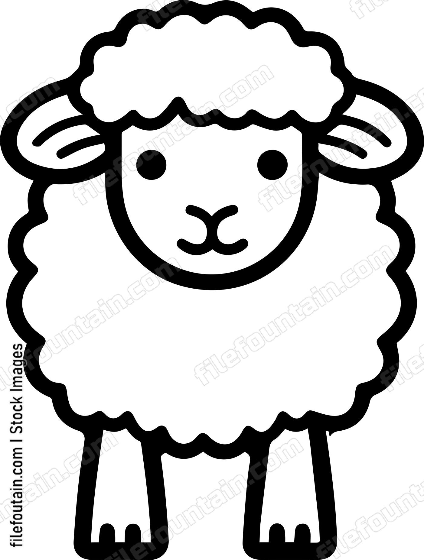 Sheep