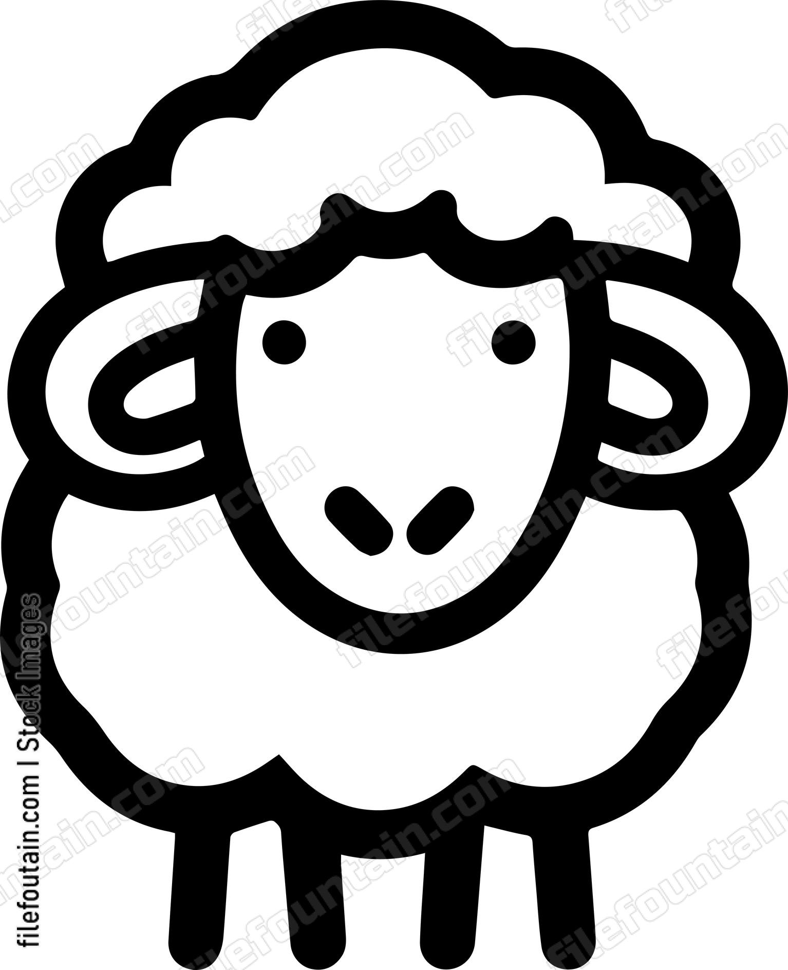 Sheep