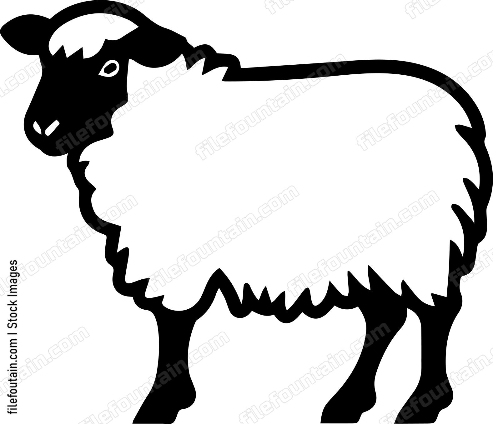 Sheep