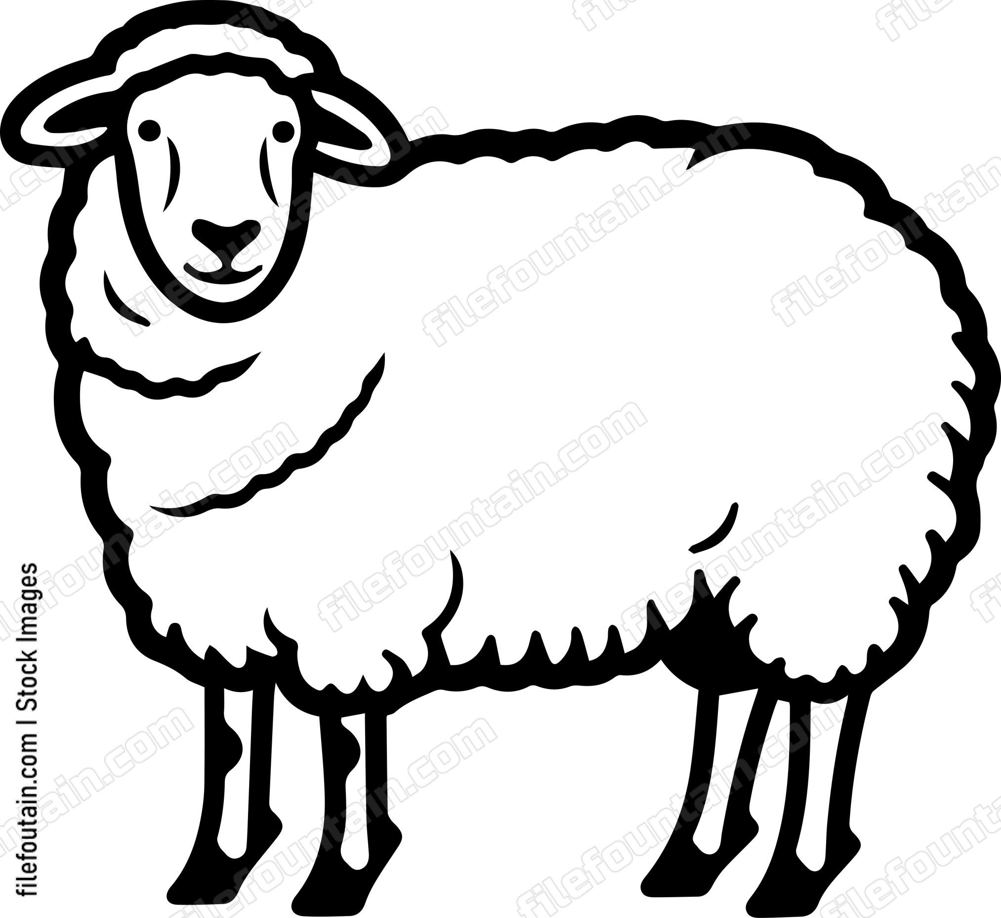 Sheep
