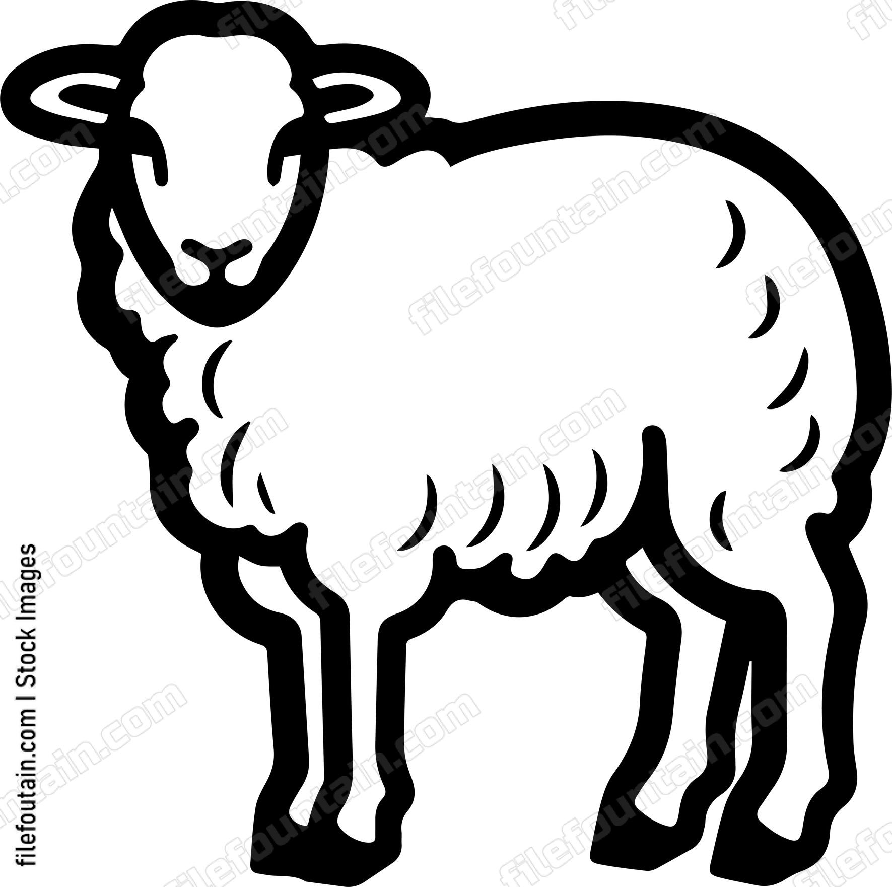 Sheep