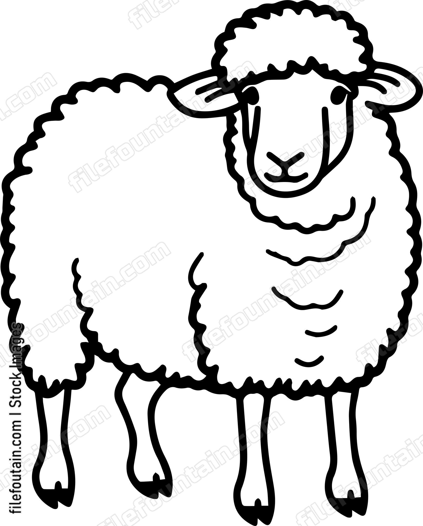 Sheep