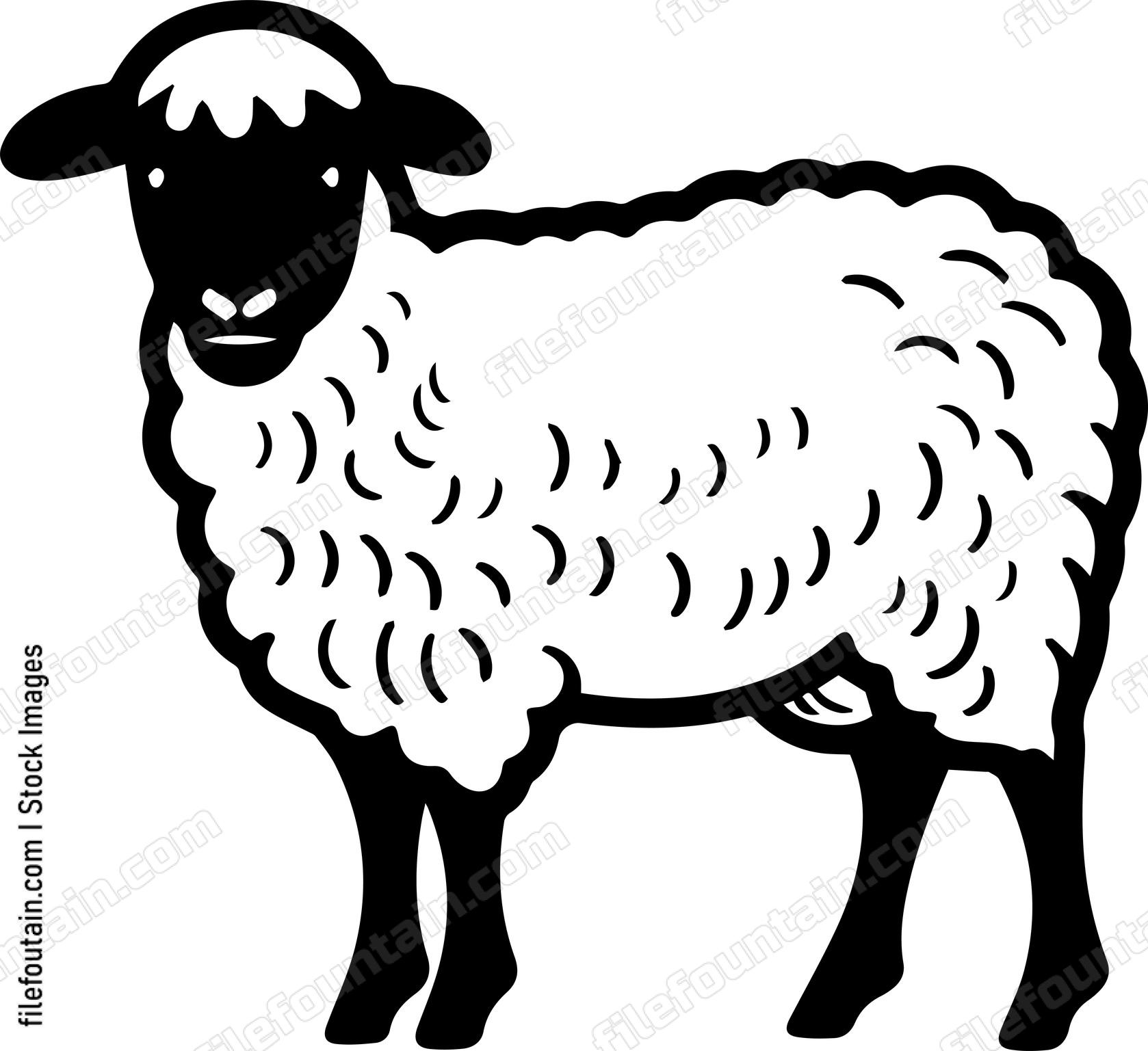 Sheep