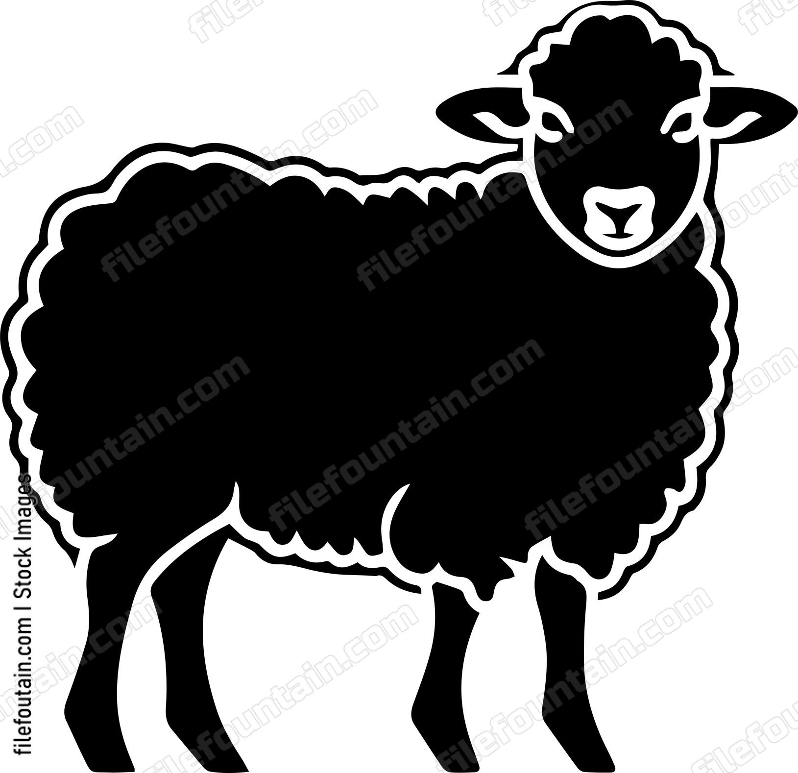 Sheep