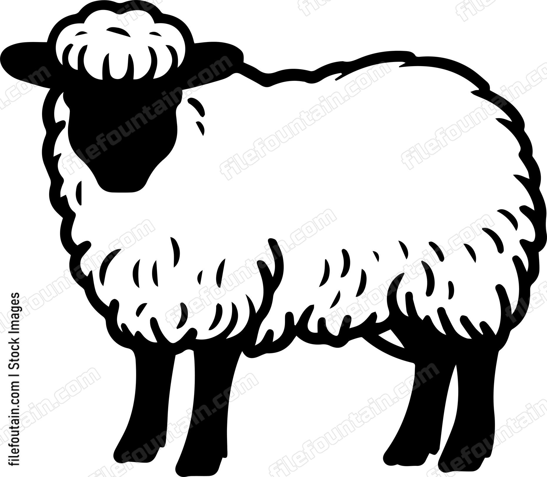 Sheep