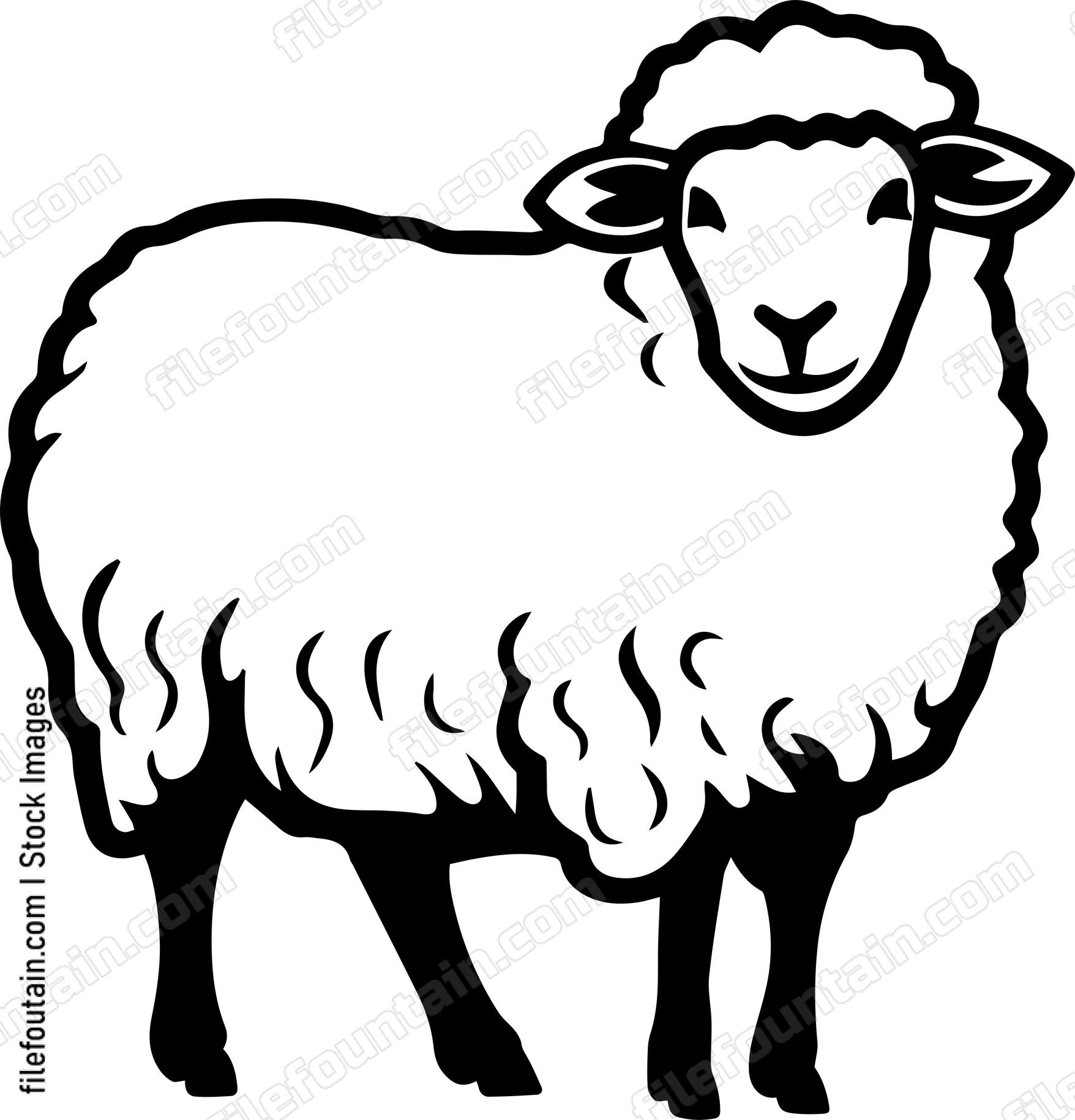 Sheep