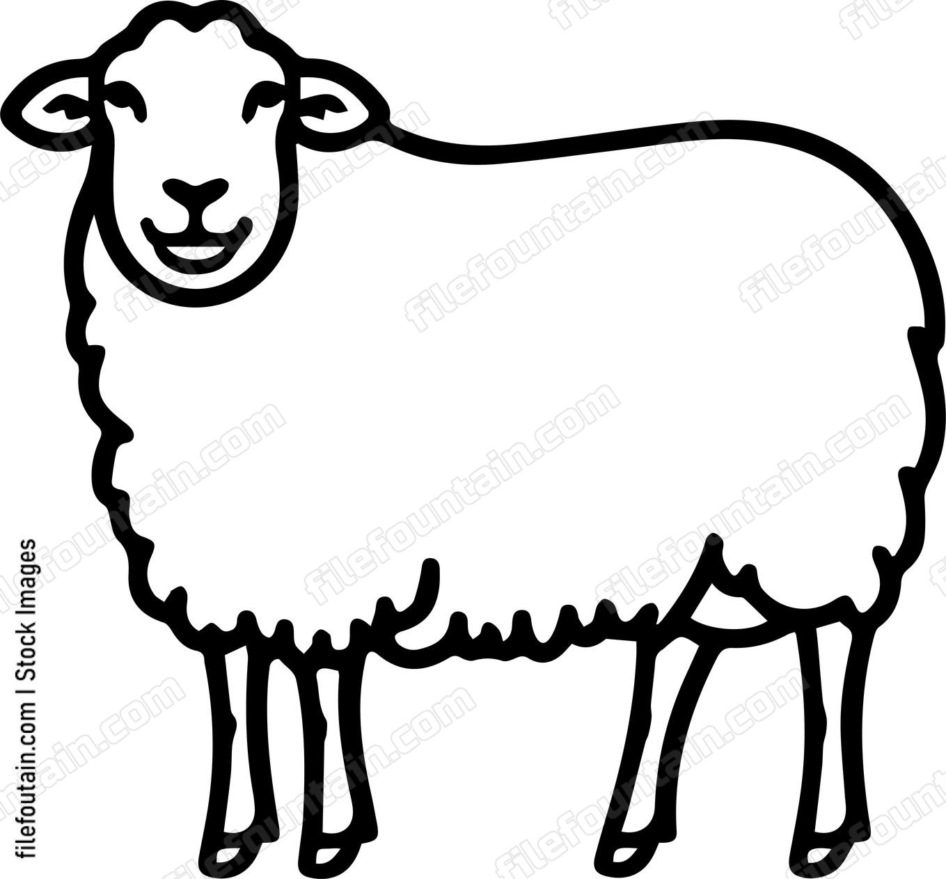 Sheep