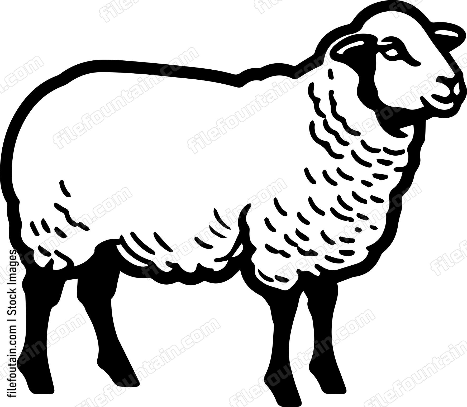 Sheep