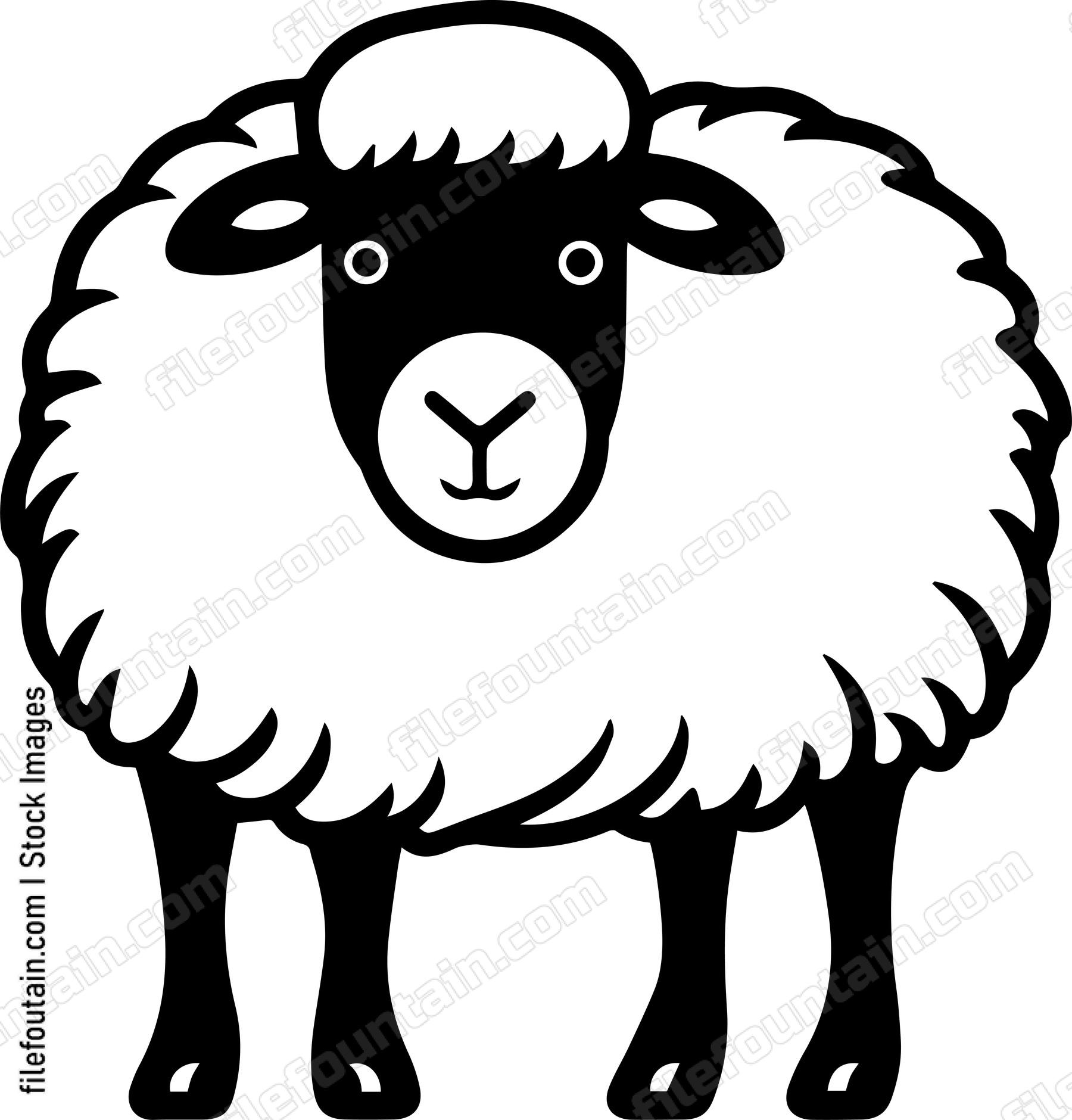 Sheep