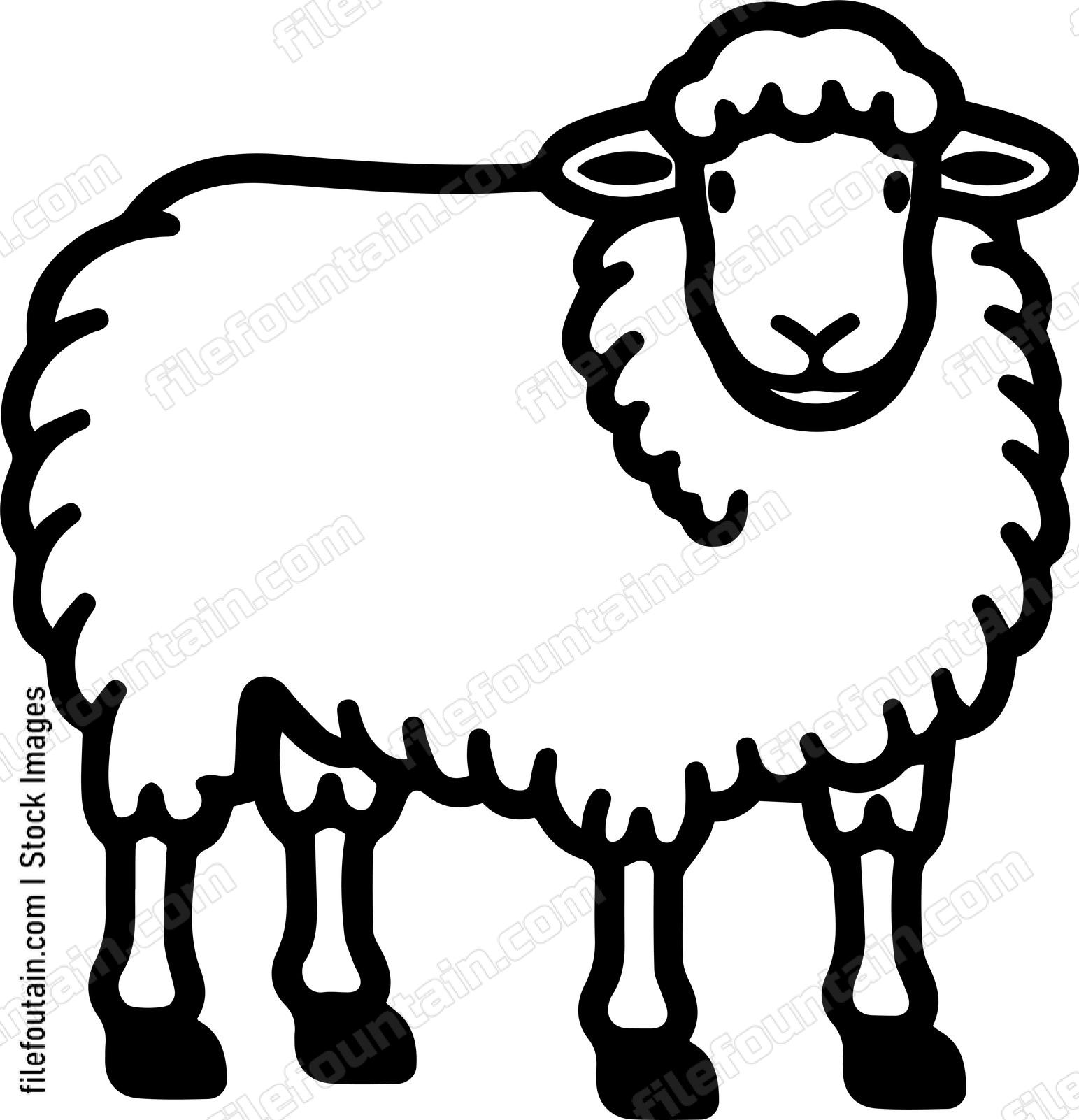 Sheep