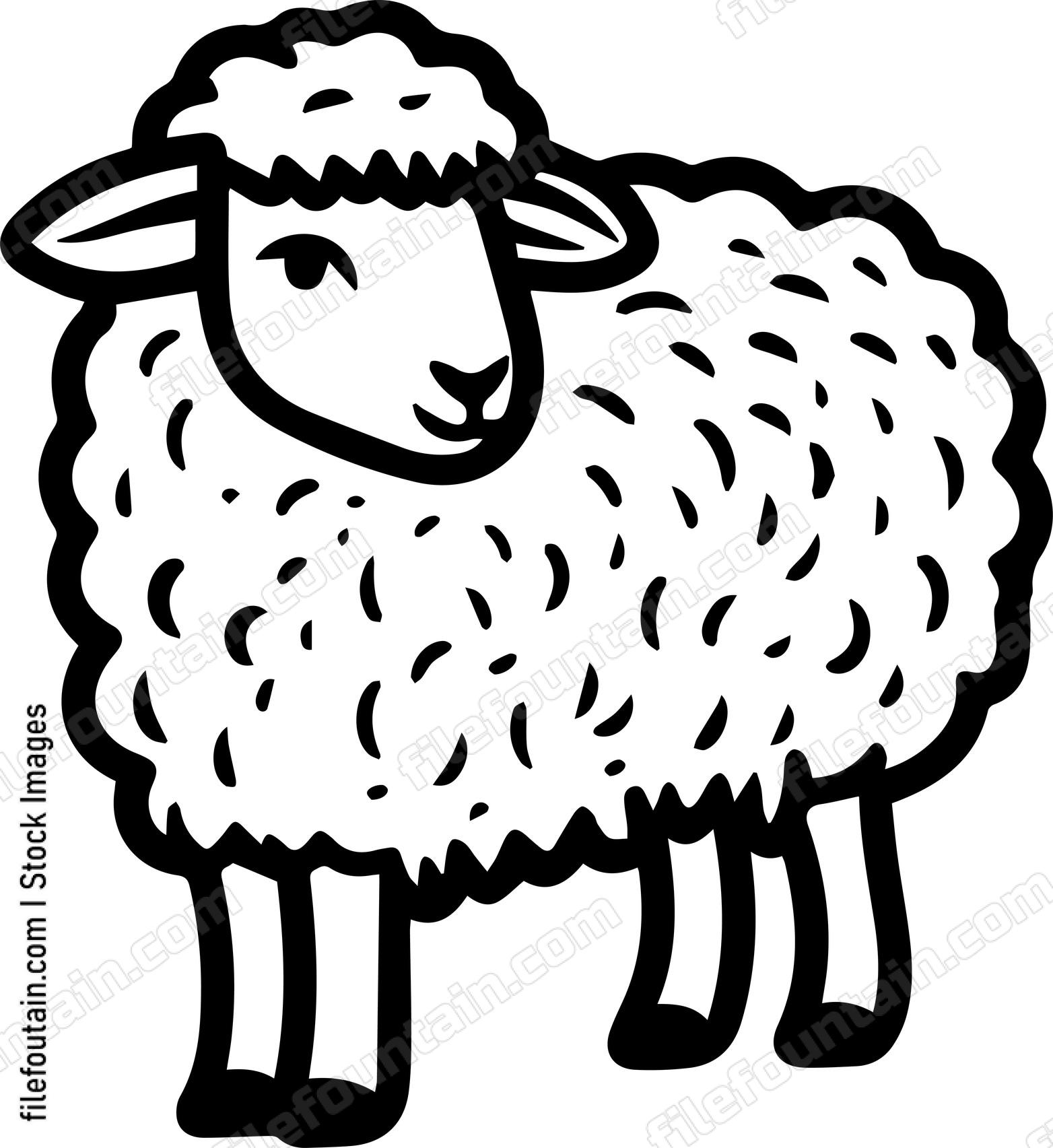 Sheep