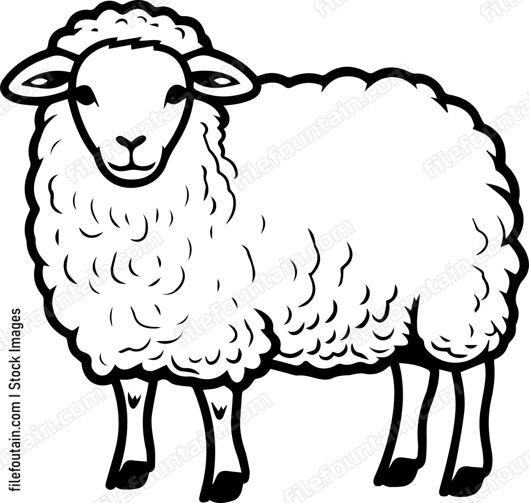 Sheep