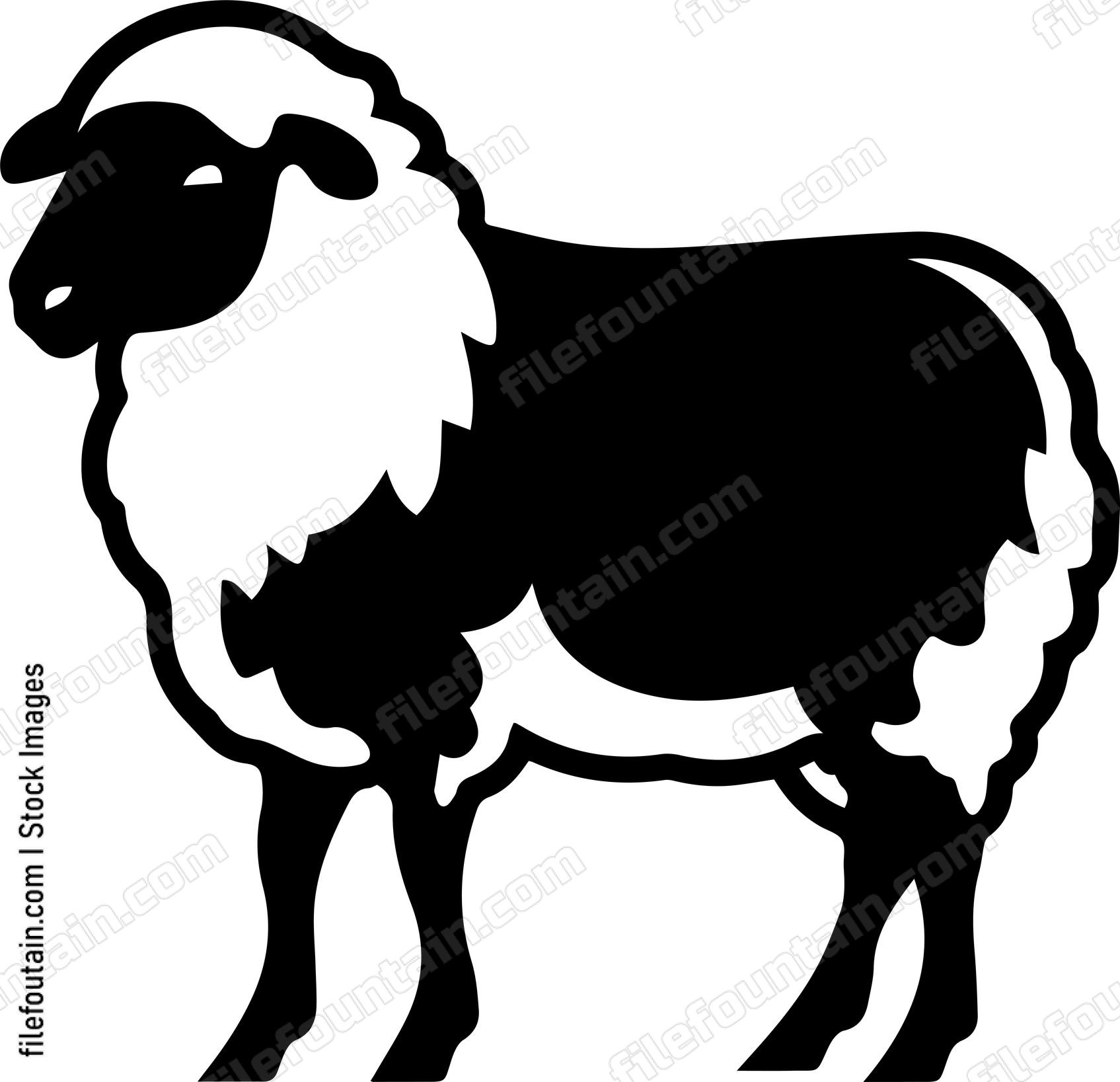 Sheep