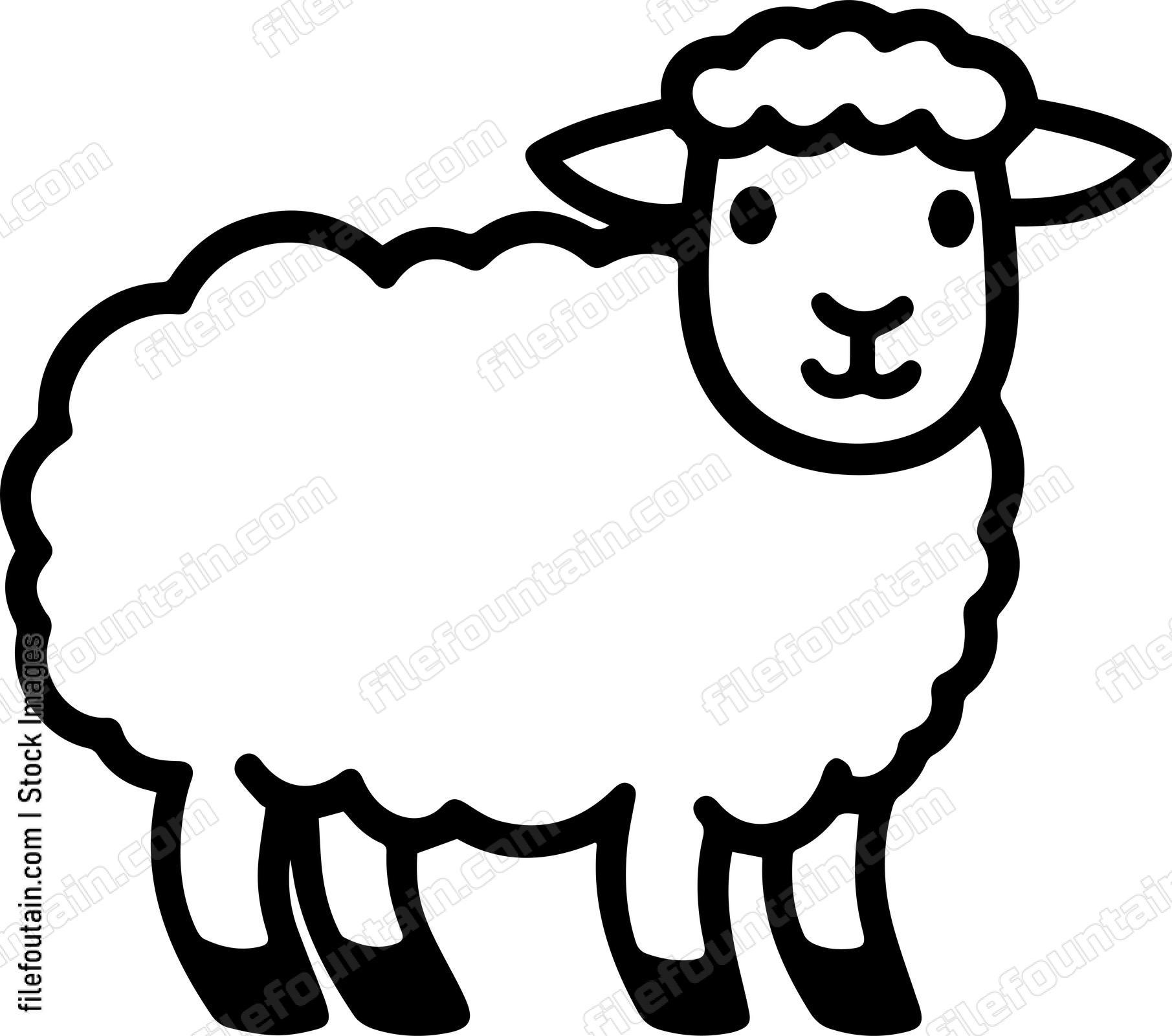 Sheep