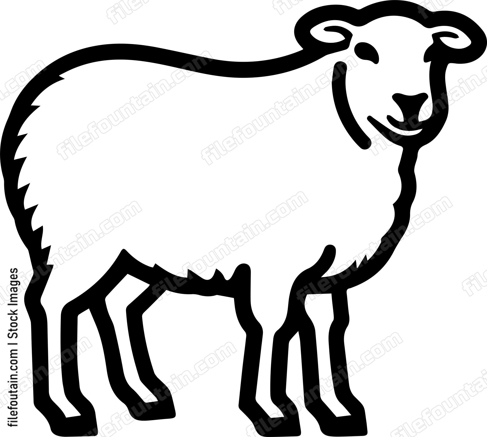 Sheep