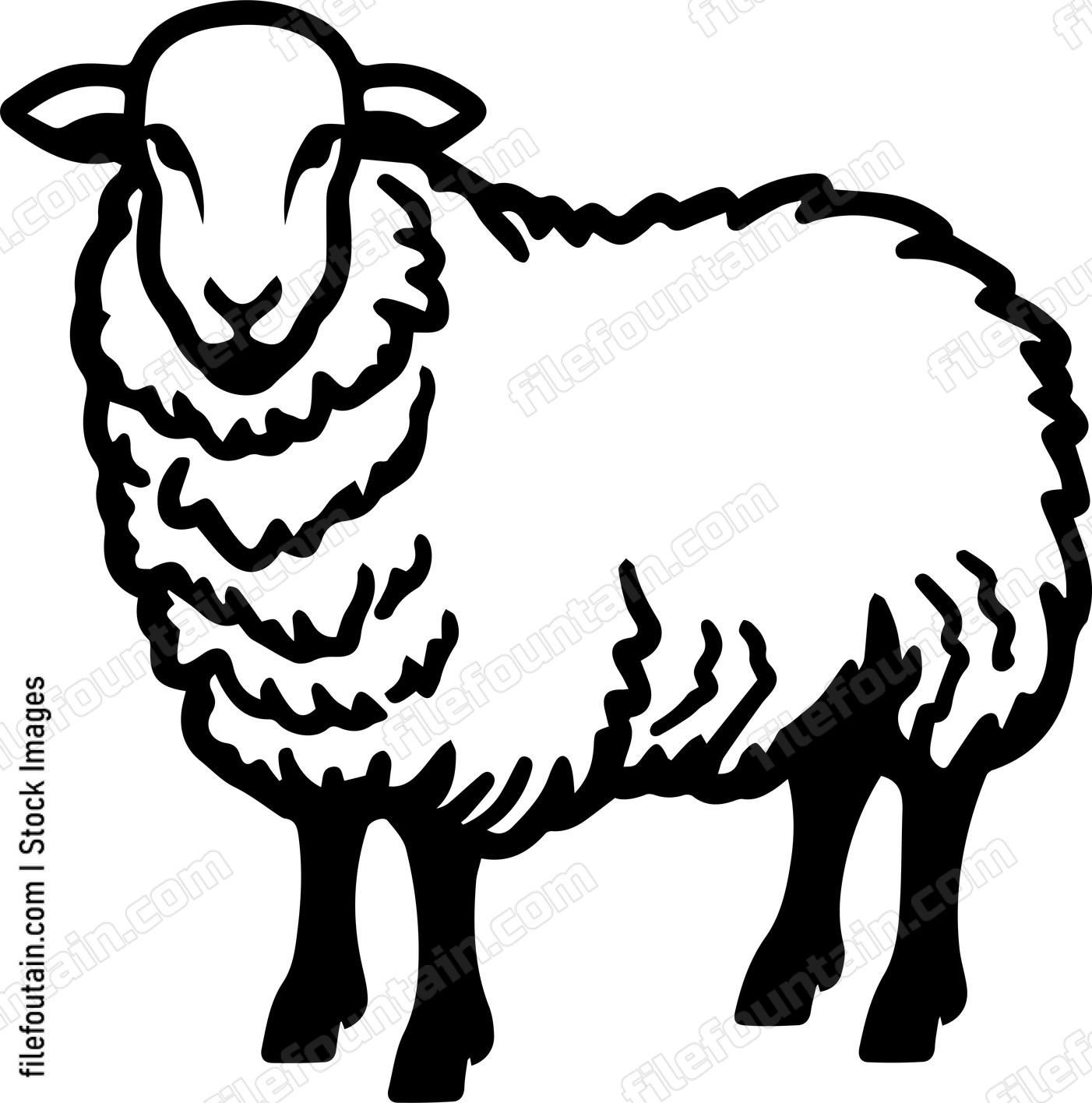 Sheep
