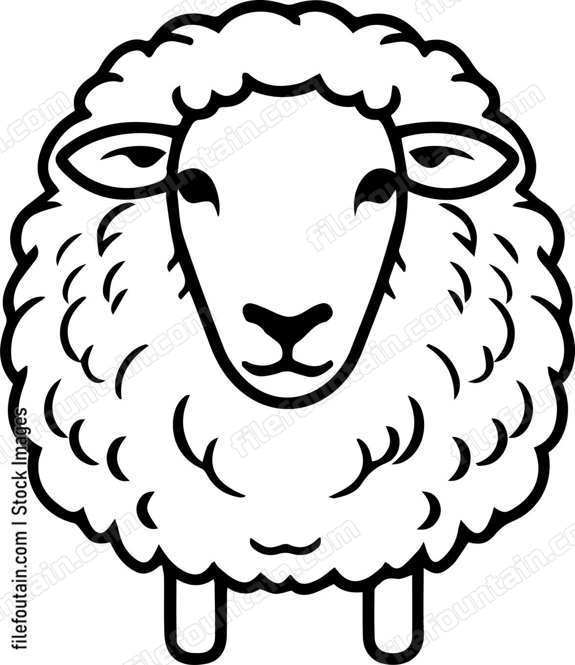 Sheep