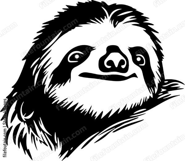 Sloth