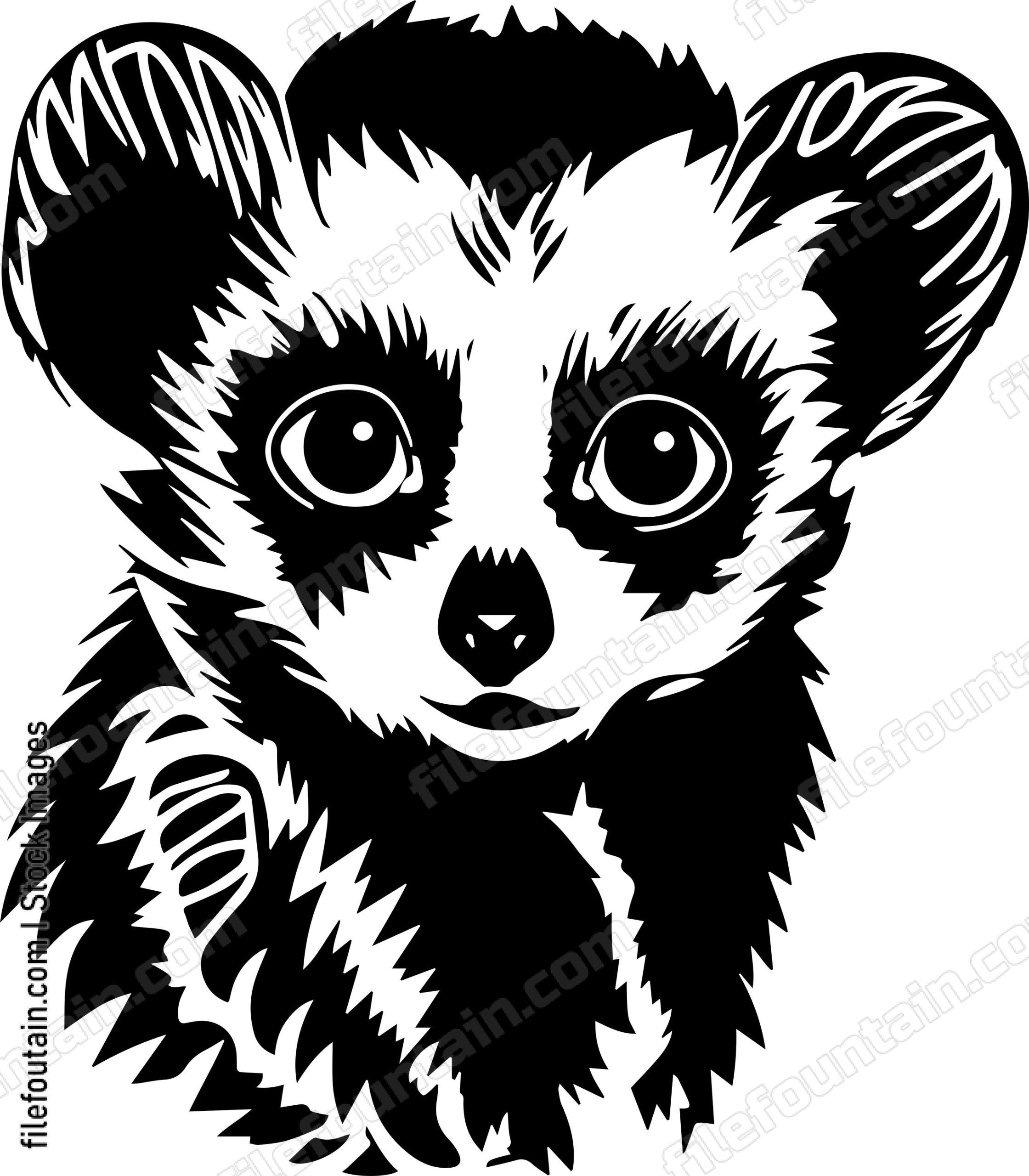Slow Loris