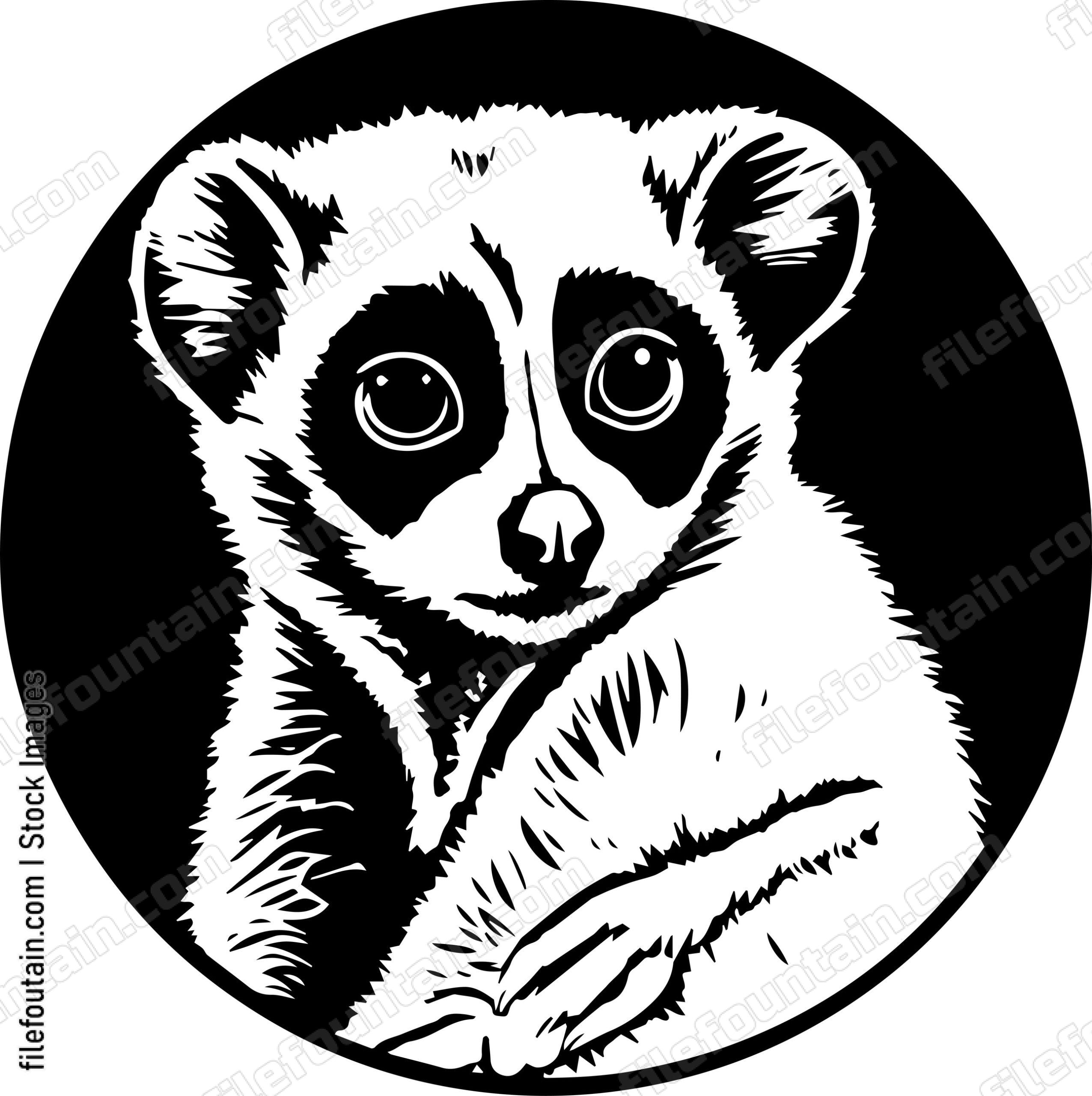 Slow Loris