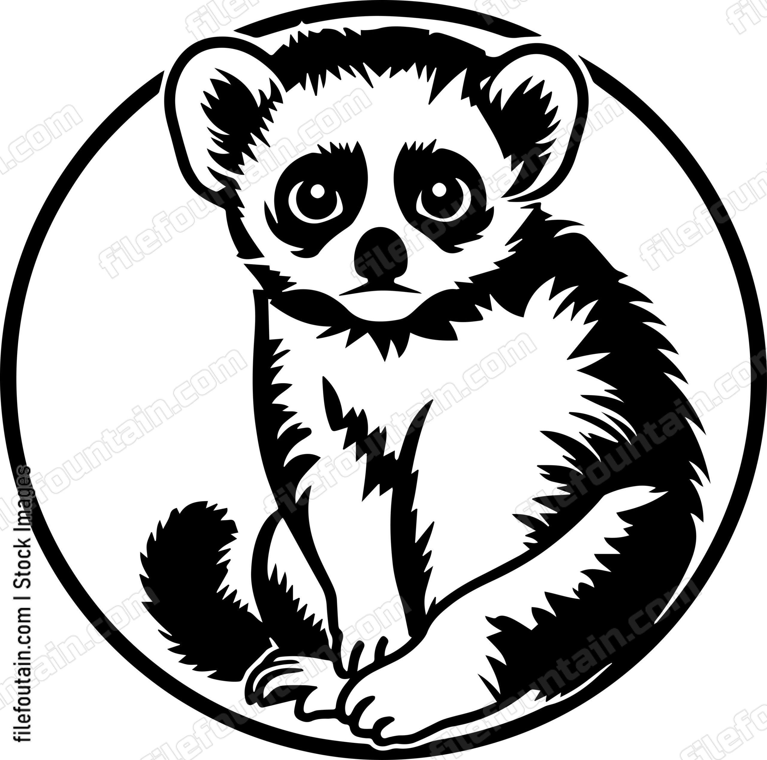Slow Loris