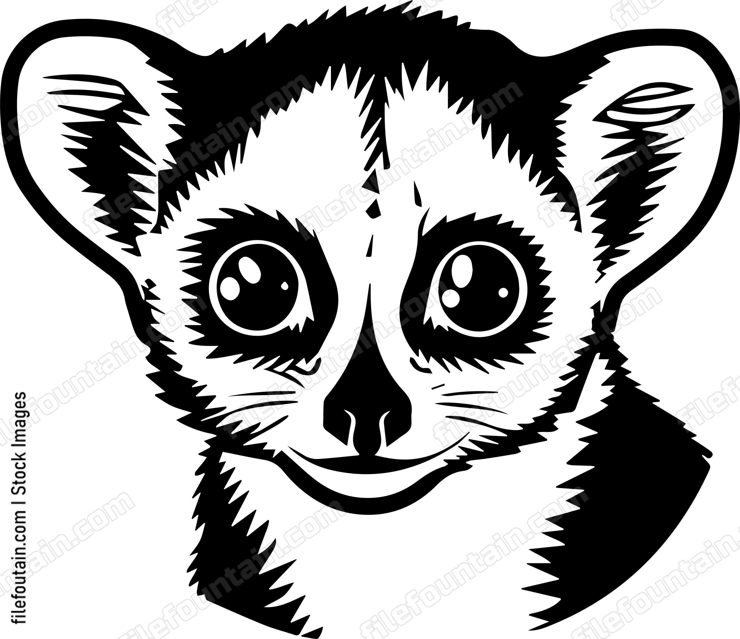 Slow Loris