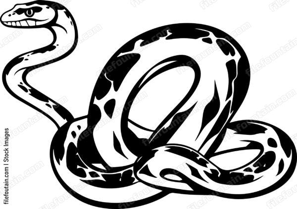 Snake
