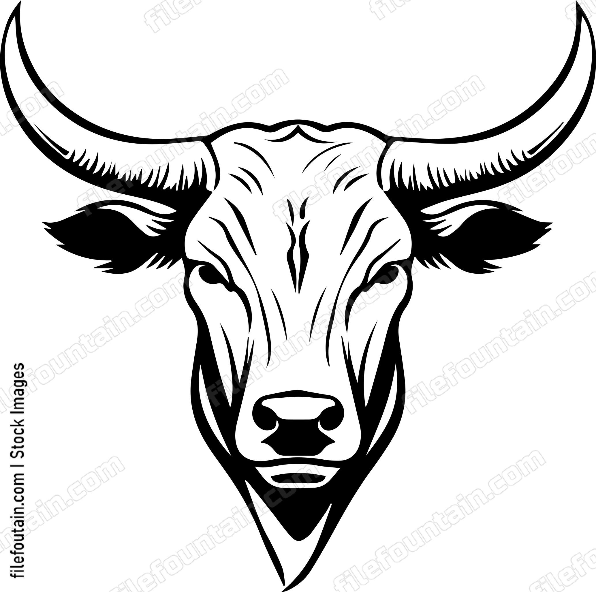 Texas Longhorn