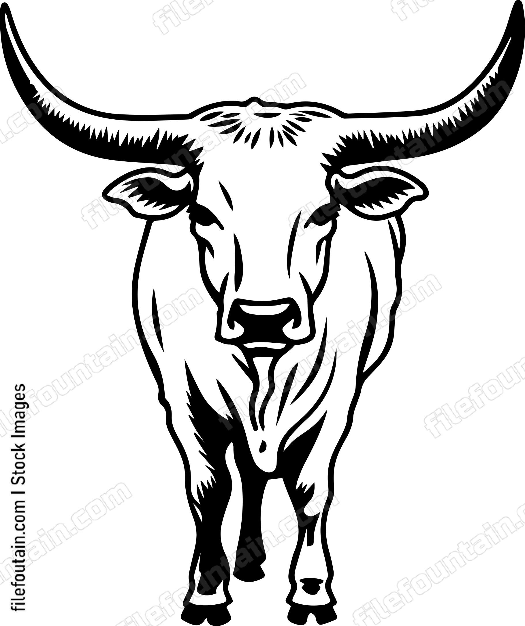 Texas Longhorn